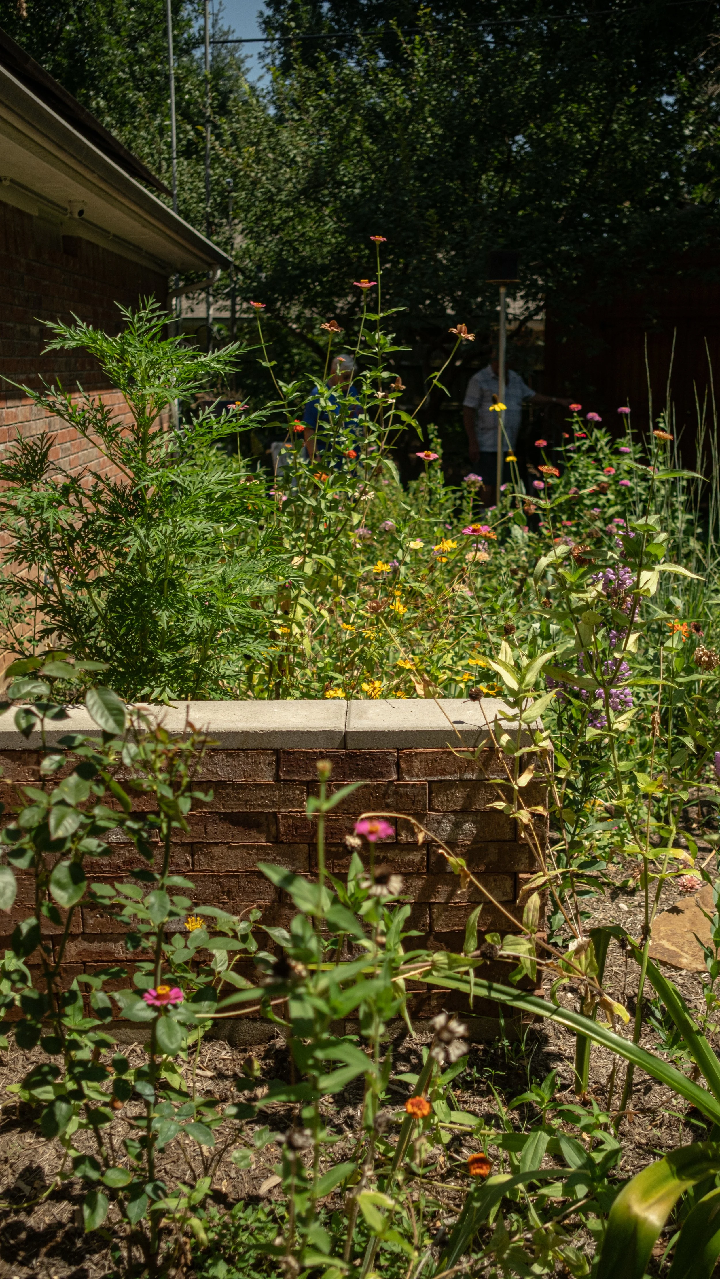 A lush garden with a variety of colorful flowers and green plants, bordered by a brick wall. In the background, there are two people near a dark wooden fence, partially obscured by trees and foliage.