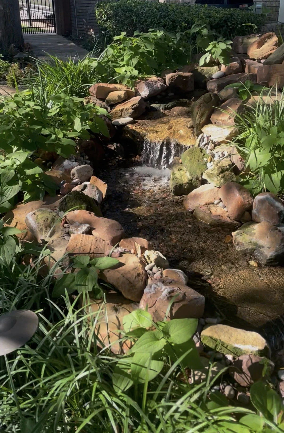 Small garden pond with rocks and lush green plants around it, with water flowing over rocks.