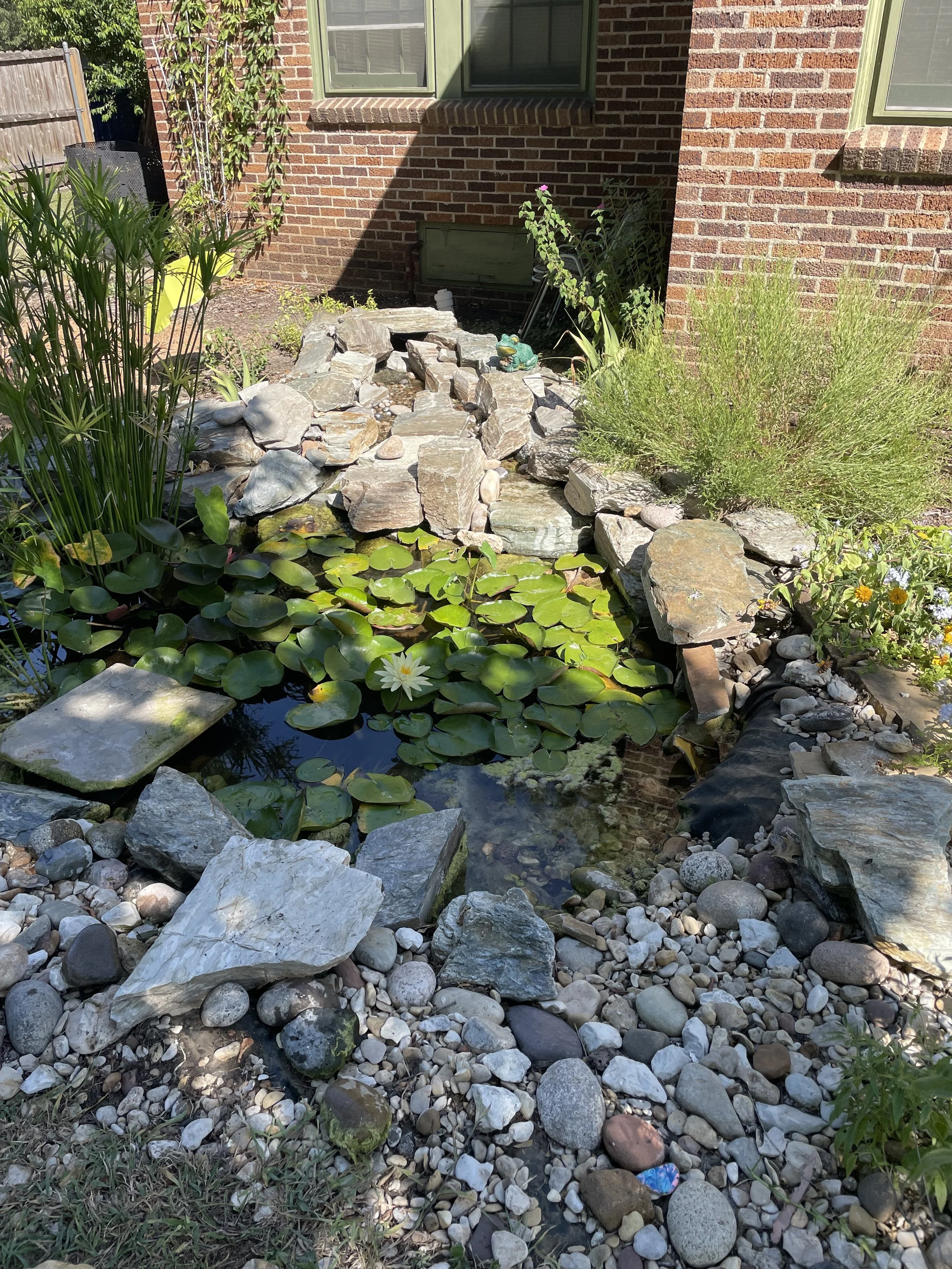 Yard with a small pond filled with water lilies, large rocks, and various plants around it, in front of a brick house with two windows.