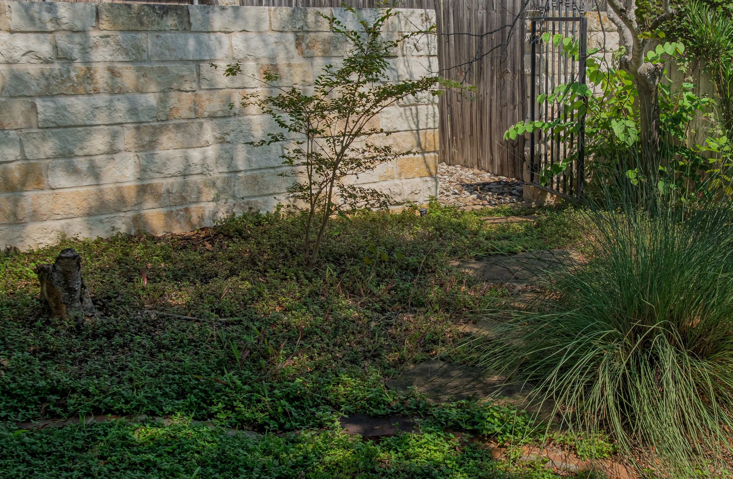 A small garden area with green plants, a stone wall, a wooden fence, a metal gate, and a variety of foliage including a tree and ornamental grasses.