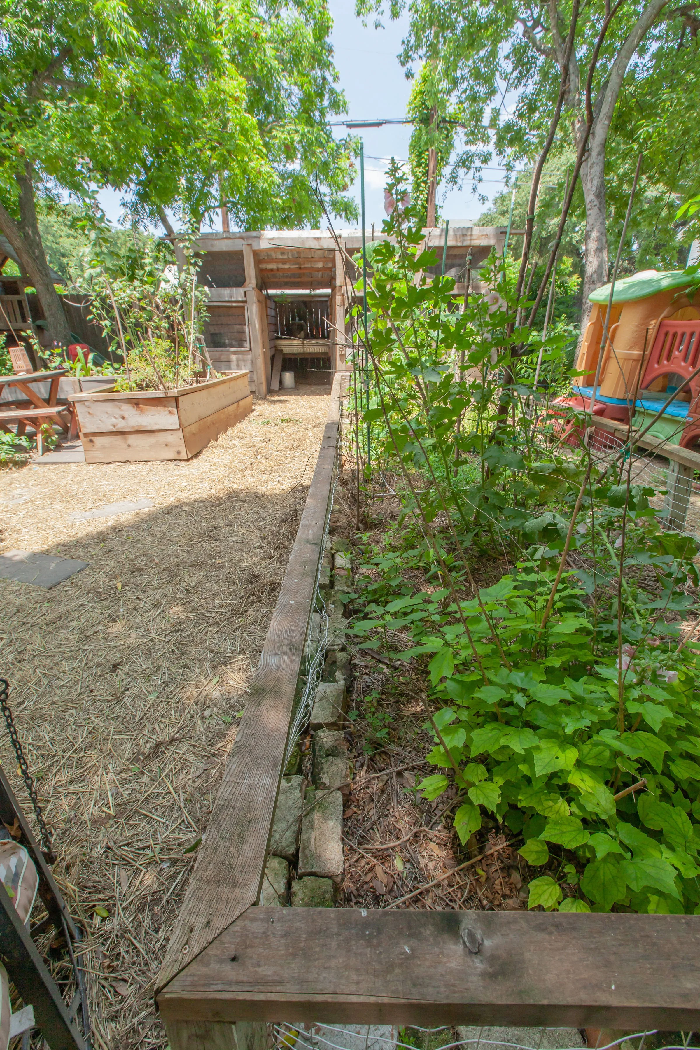 View of a backyard garden with wooden raised beds, green leafy plants, trees with dense canopy, and a wooden chicken coop structure in the background. There is a wooden fence and colorful playhouse on the right.