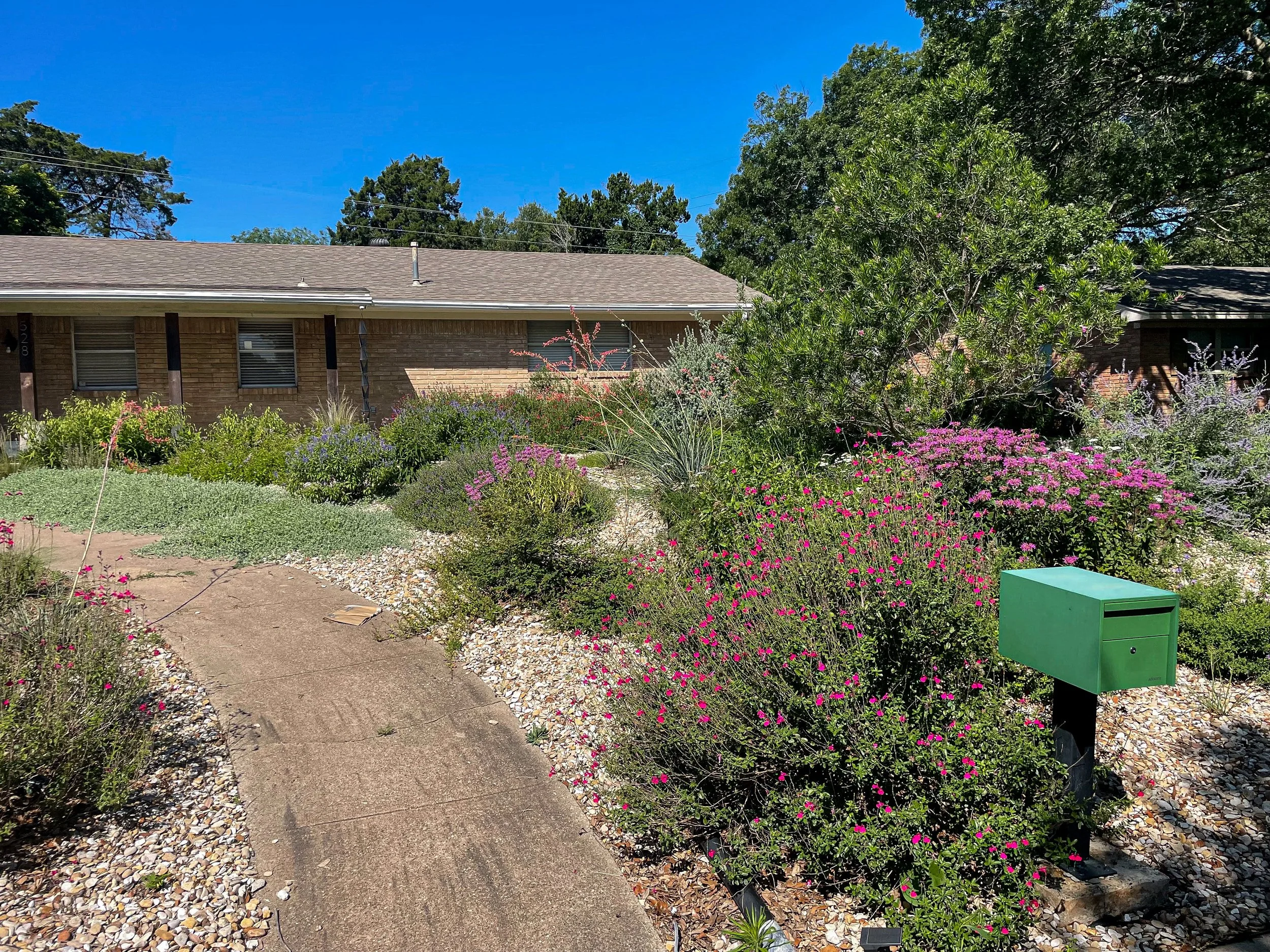 A front yard garden with blooming pink, purple, and white flowers and bushes, a sidewalk, a single-story brick house with a gray shingled roof, trees, and a bright blue sky.