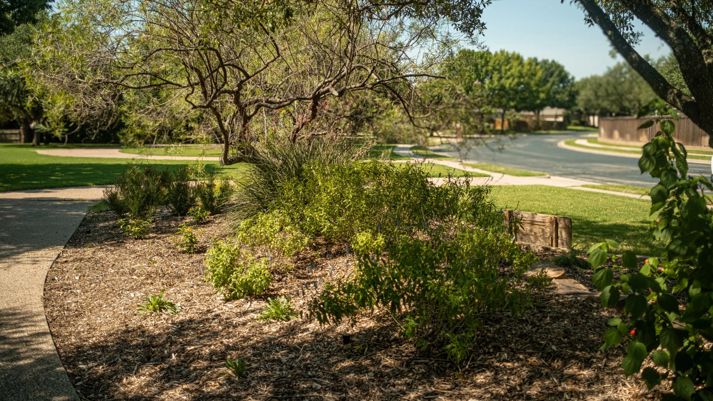 A sidewalk runs through a lush green suburban neighborhood with trees and bushes, with a street and houses visible in the background on a sunny day.