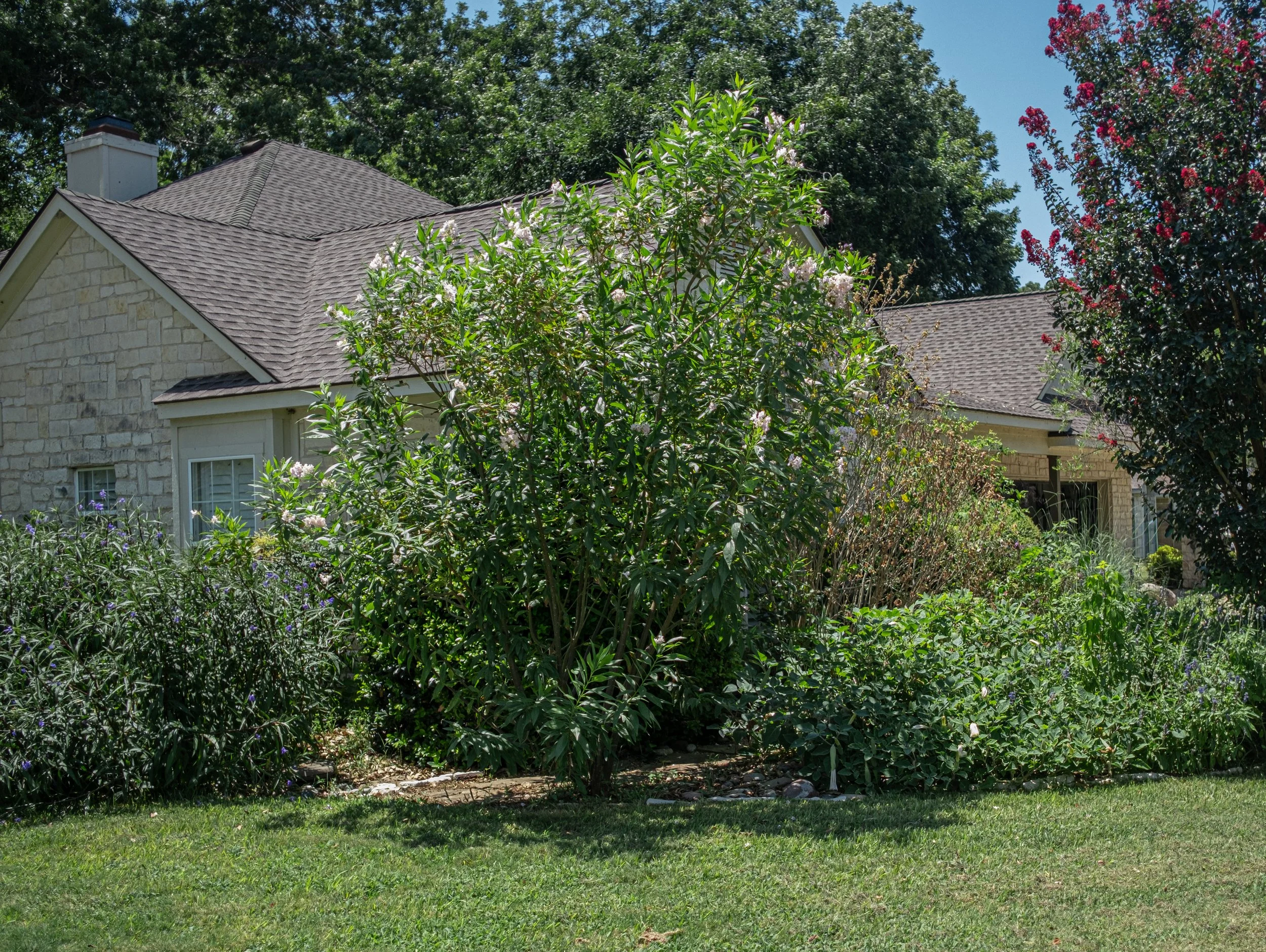 A house with a beige brick exterior and a brown shingled roof, surrounded by green bushes and trees, under a clear blue sky.