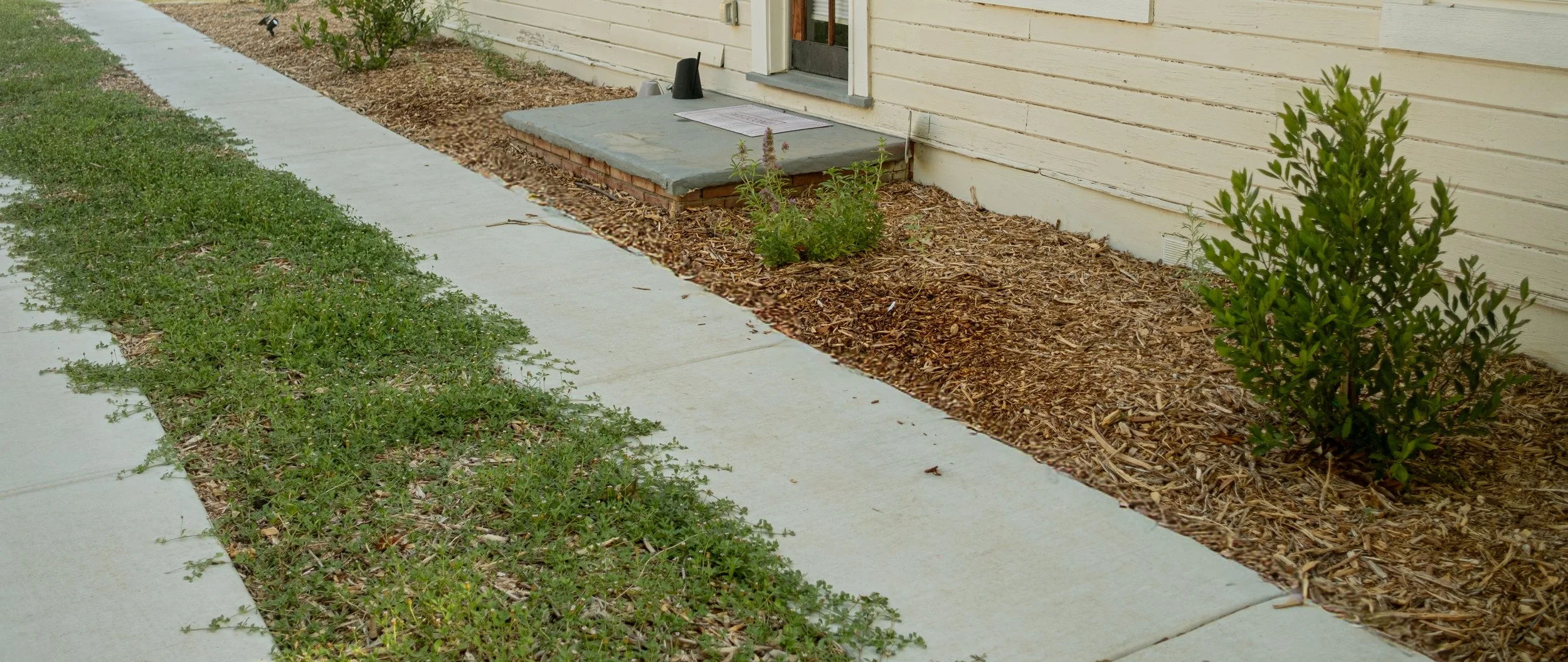 The image shows a walkway with a strip of green grass on the left and a mulched flower bed with small bushes along the beige house wall on the right. There is a concrete step leading to a door on the house.