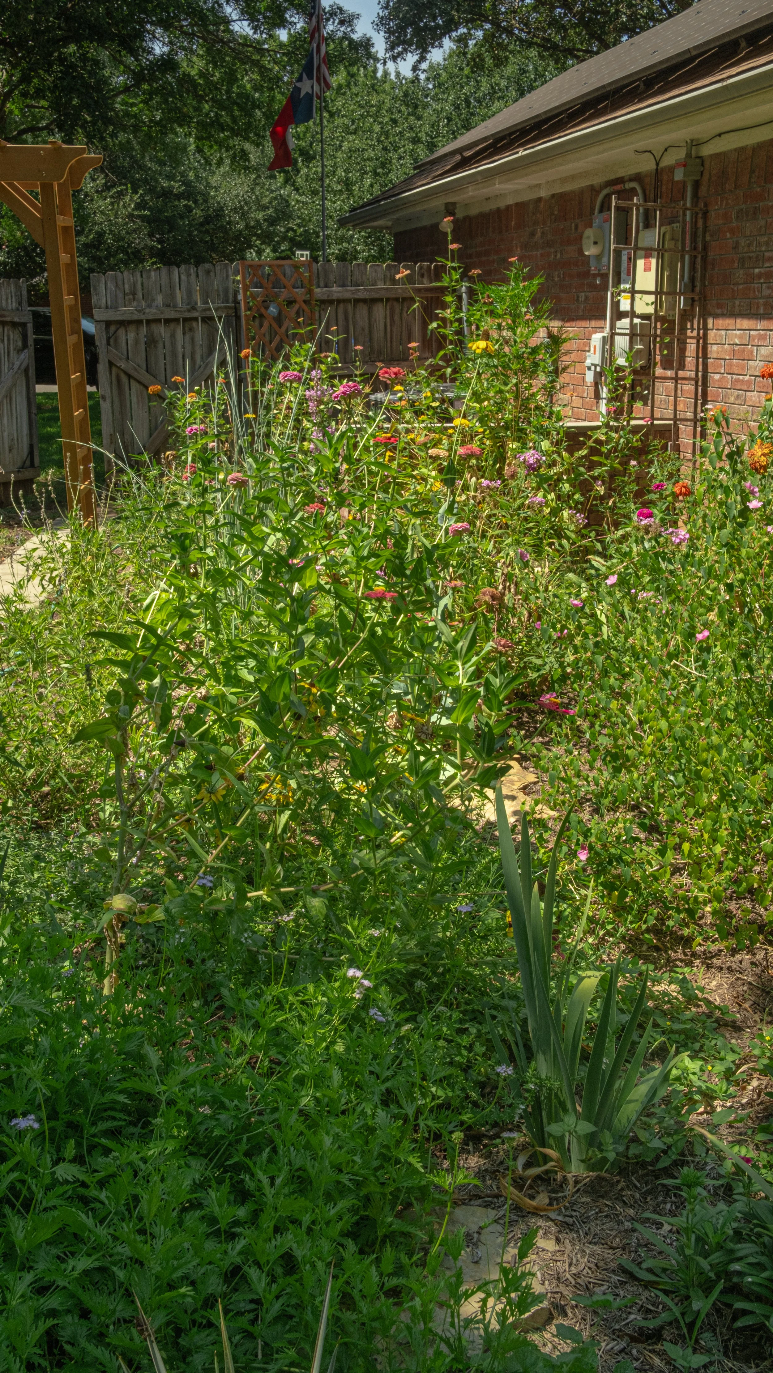 A backyard garden with various flowering plants, a wooden fence, a flagpole with a Texas flag, and part of a house with a brick exterior.