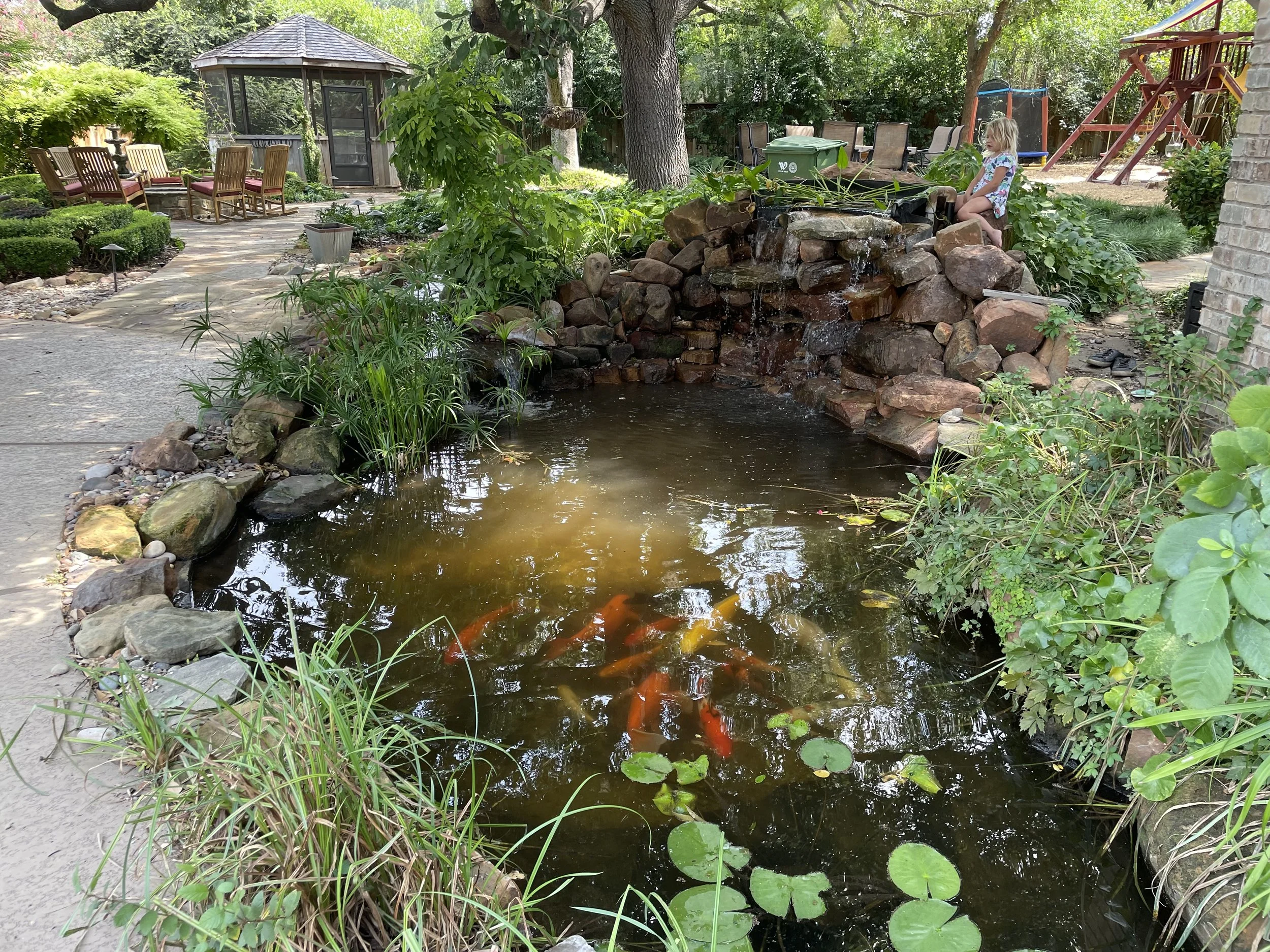 A backyard garden with a pond containing colorful koi fish, surrounded by plants, rocks, and trees, with outdoor seating and a children's play area.