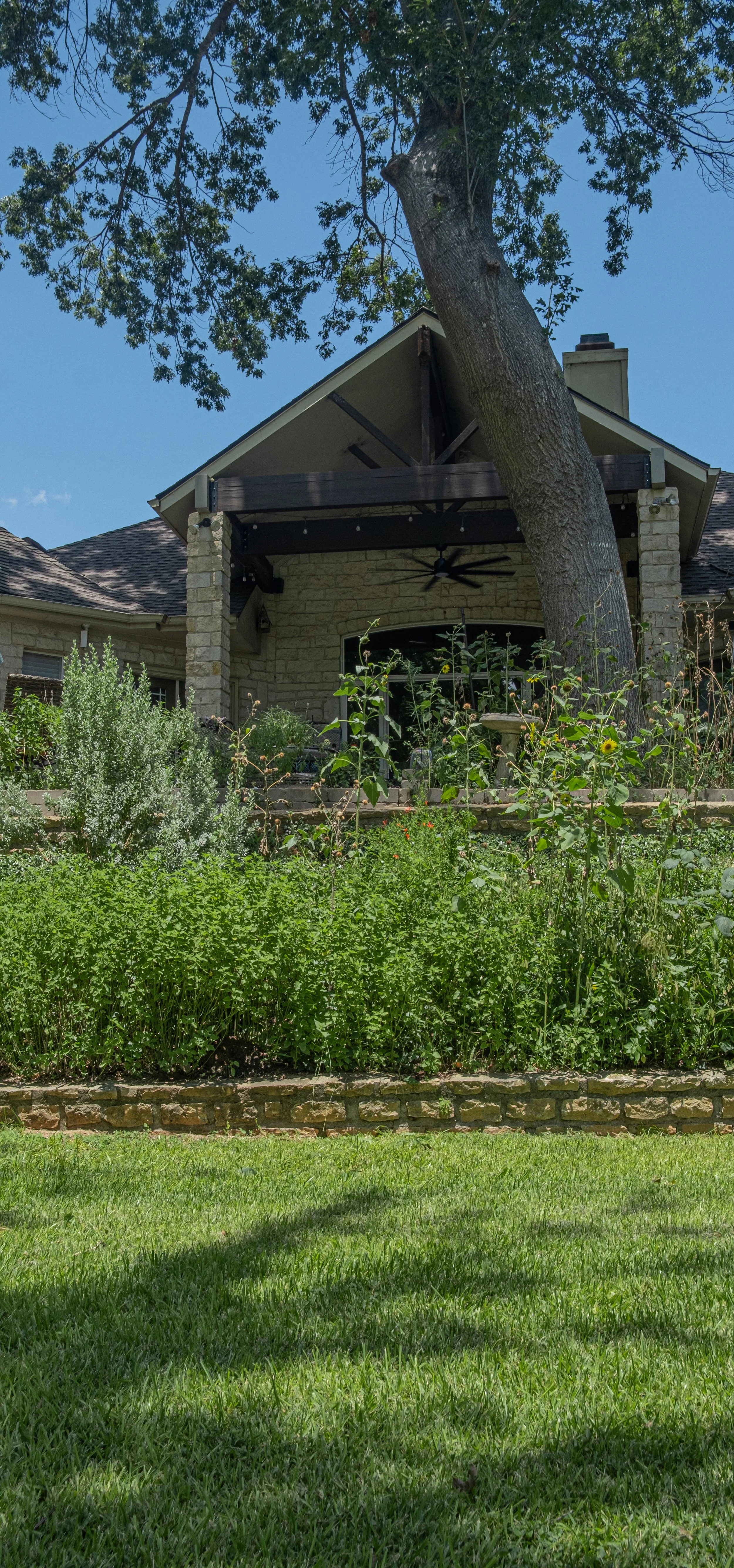 A house with a stone exterior, a porch with a ceiling fan, and a large tree growing close to the house. The front yard has lush green grass and a garden with various plants and flowers.