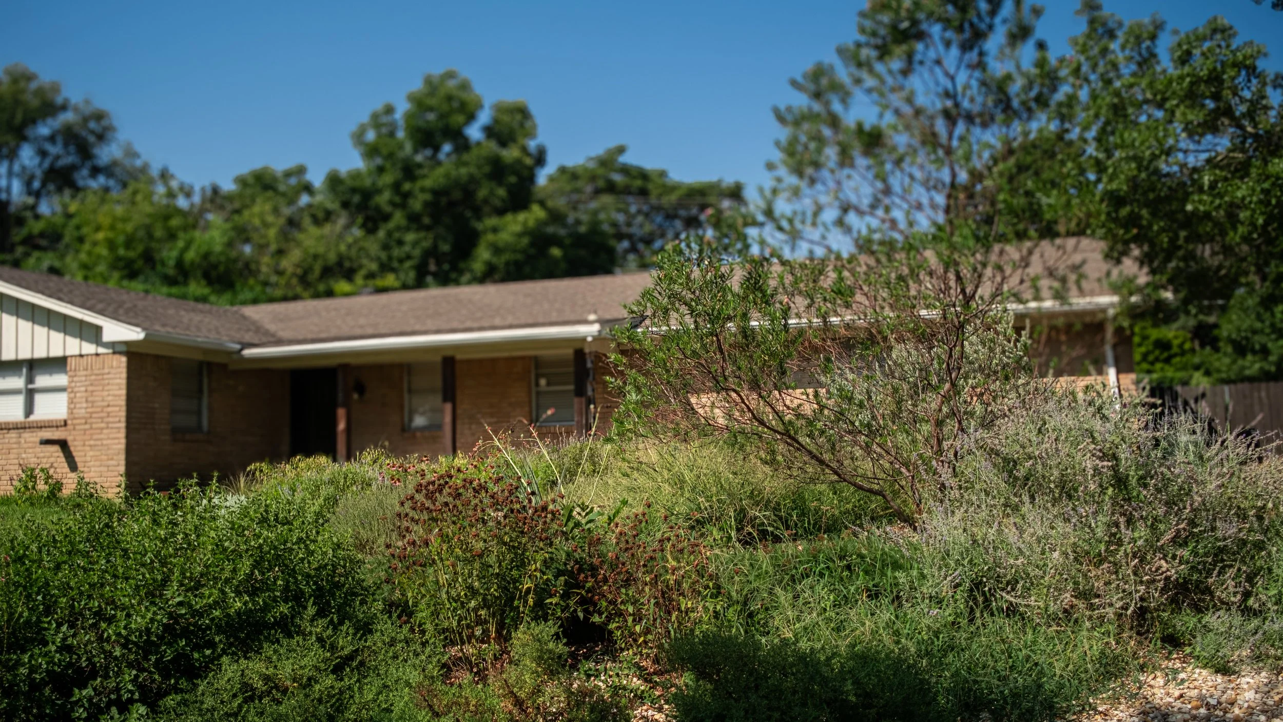 A suburban house with a brick exterior, surrounded by lush green trees and shrubs under a clear blue sky.