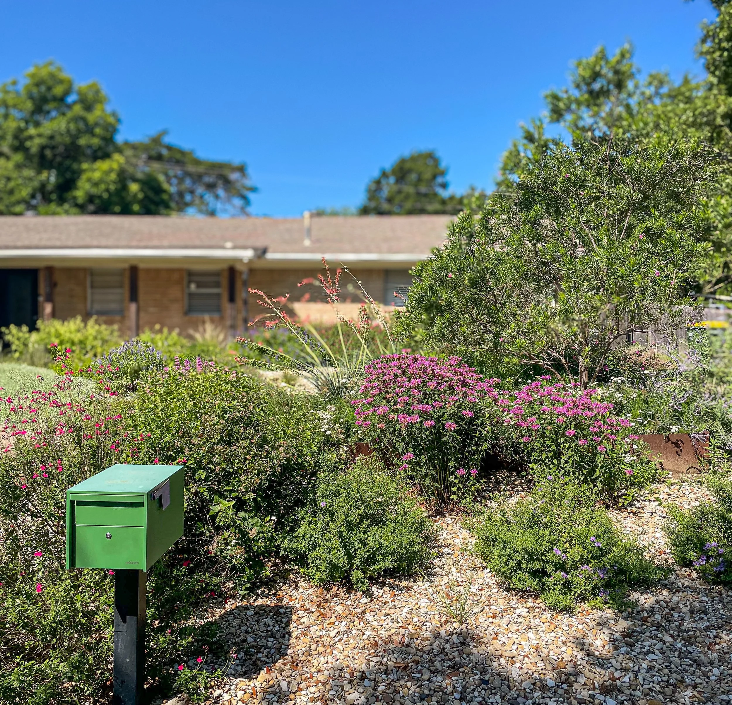 Green mailbox in front of a garden with pink and purple flowers, bushes, and trees under a bright blue sky.