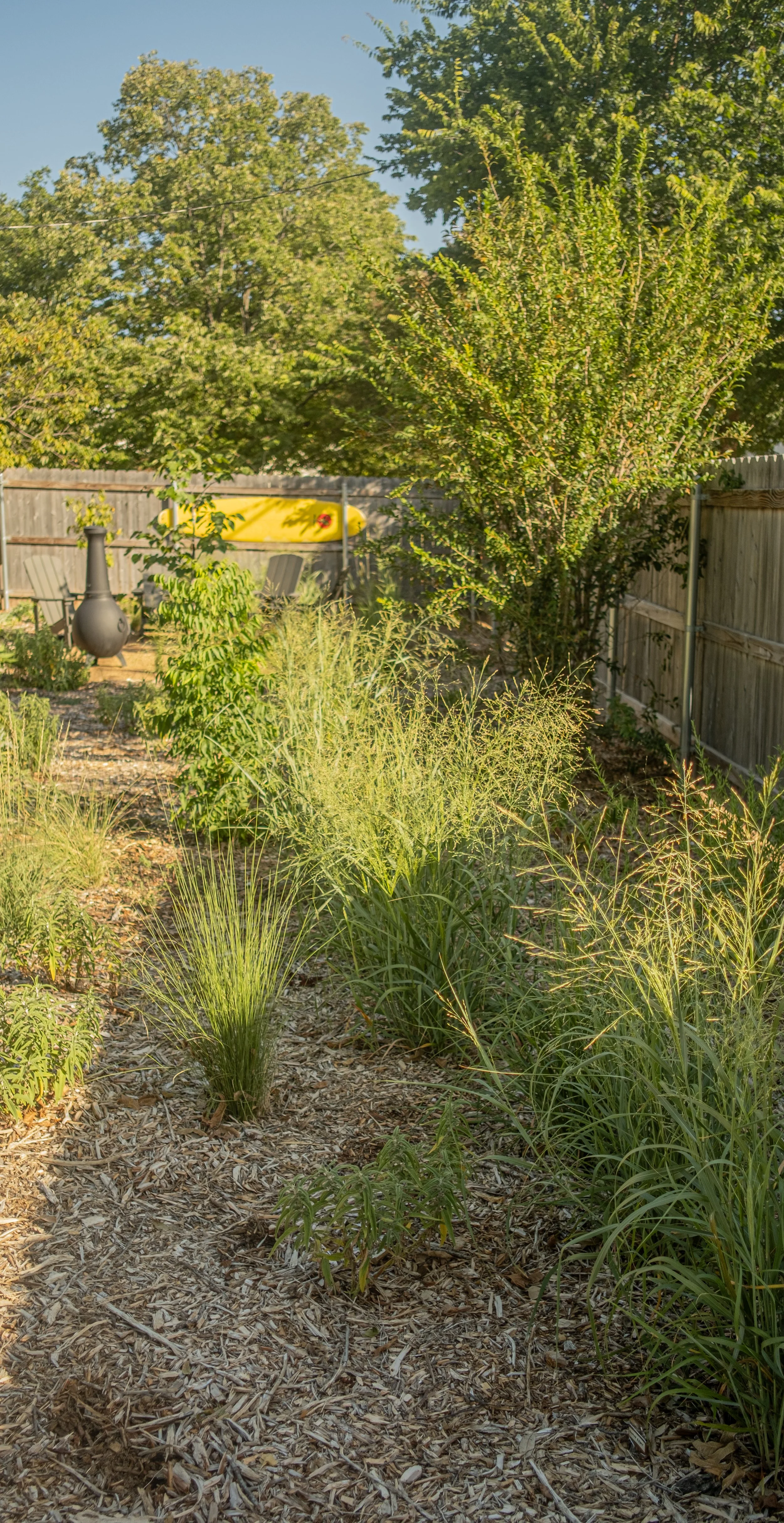 A backyard garden with various plants, trees, a wooden fence, and outdoor chairs, featuring a yellow kayak in the background.