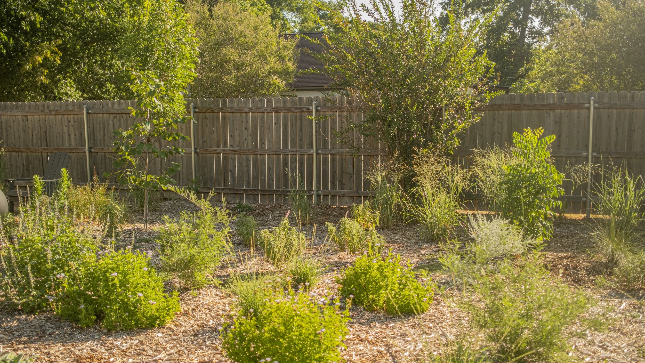 A backyard garden with a wooden fence, various trees and plants, and a mulch-covered garden bed in the foreground.