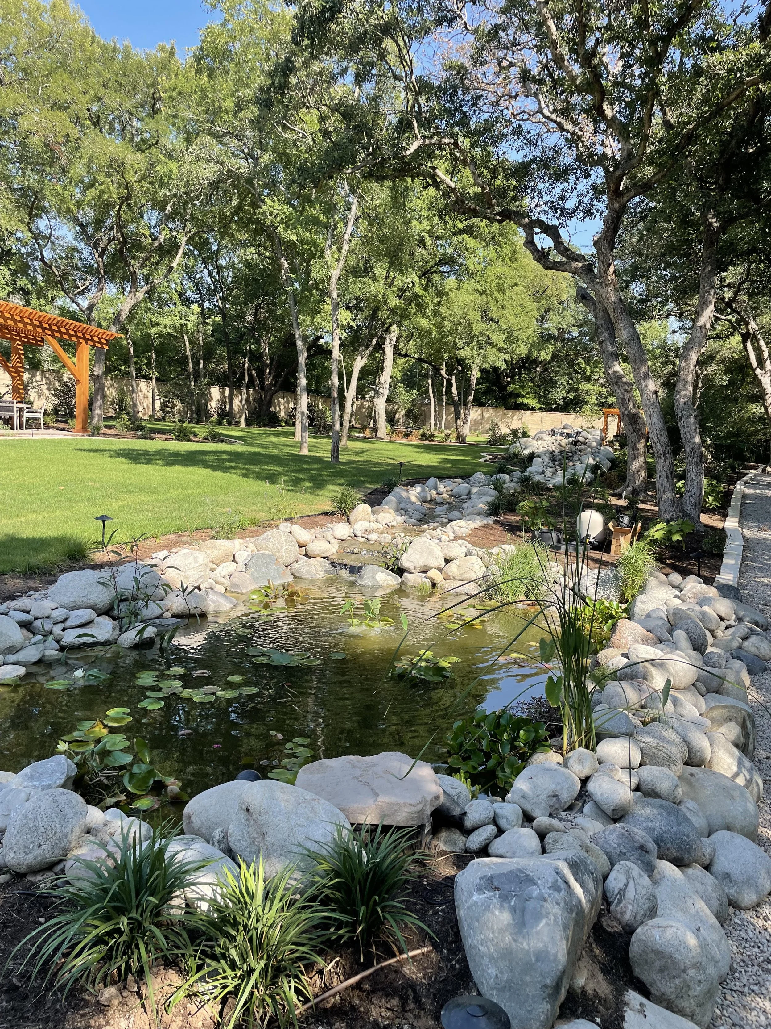 A landscaped backyard with a small pond surrounded by rocks, green plants, and trees with a blue sky overhead. There is a wooden pergola and a grassy area with trees framing the scene.
