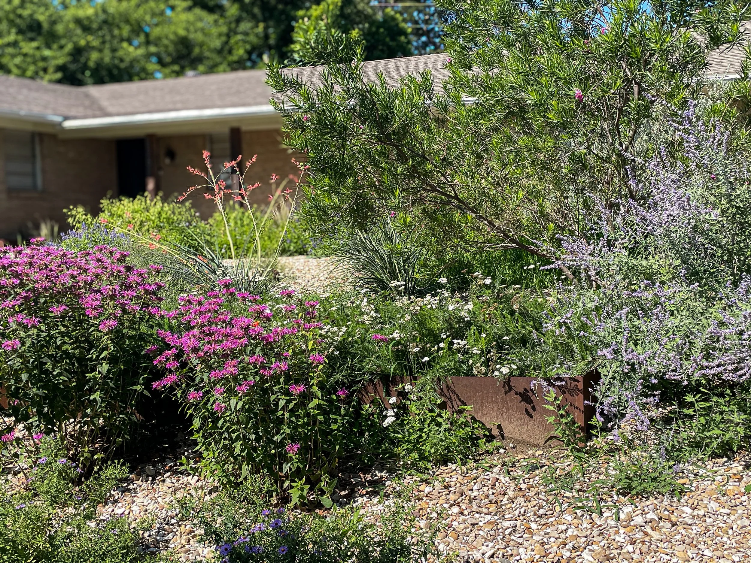 A sunny garden with various colorful flowers and green shrubs in front of a single-story brick house with a gray roof.