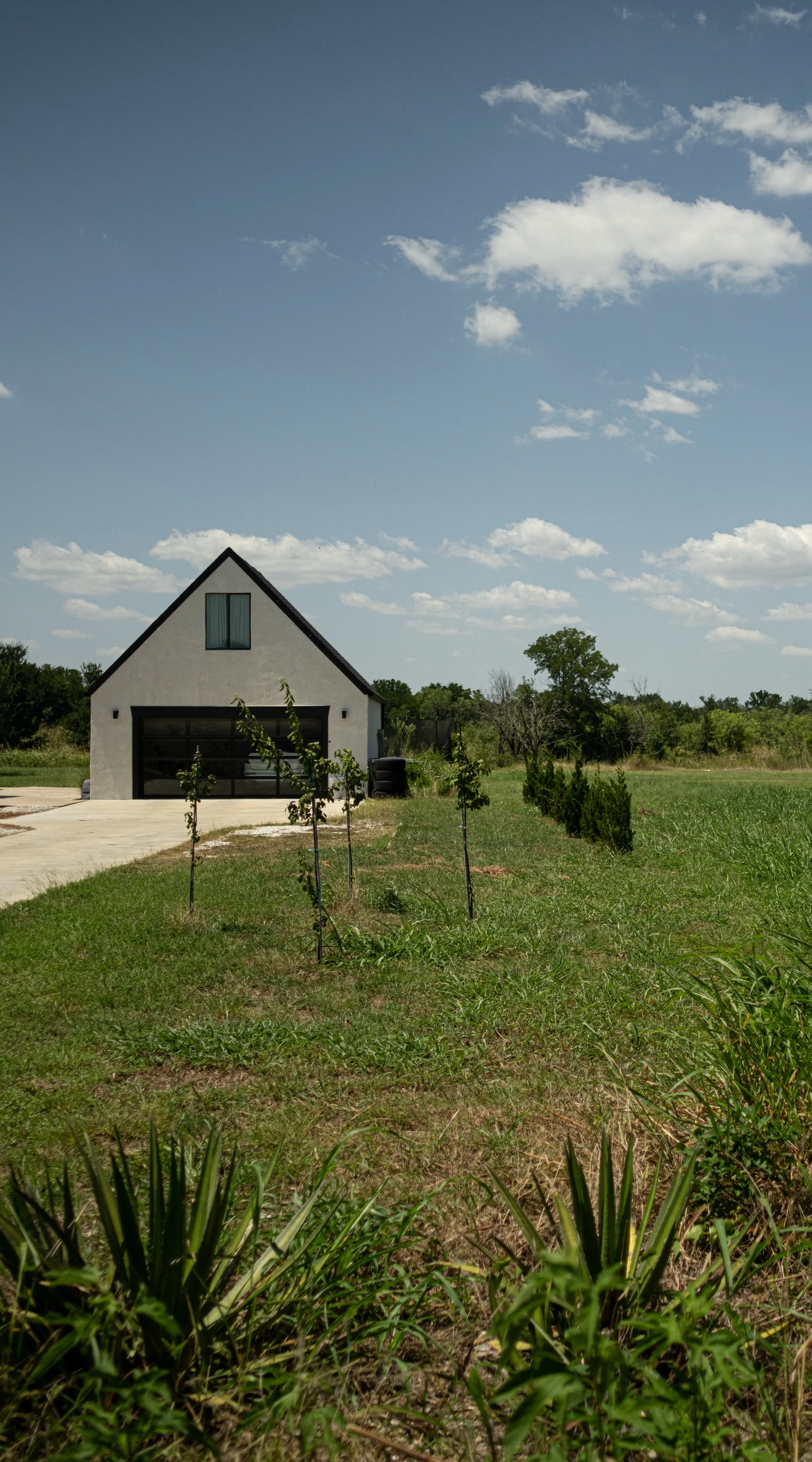 A small modern house with a black garage door, stucco exterior, and a pointed roof, surrounded by a grassy yard with young trees and bushes, under a partly cloudy blue sky.