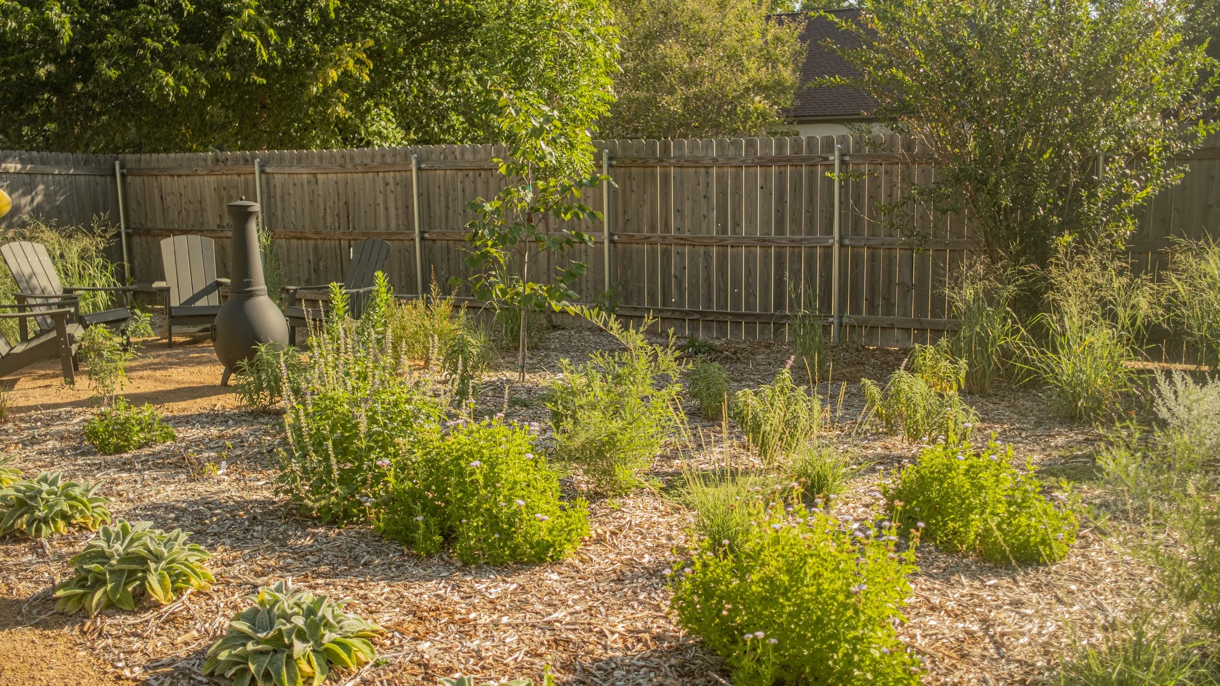 A backyard garden enclosed by a wooden privacy fence, with various green plants, shrubs, and small trees, along with a decorative chiminea and outdoor chairs.