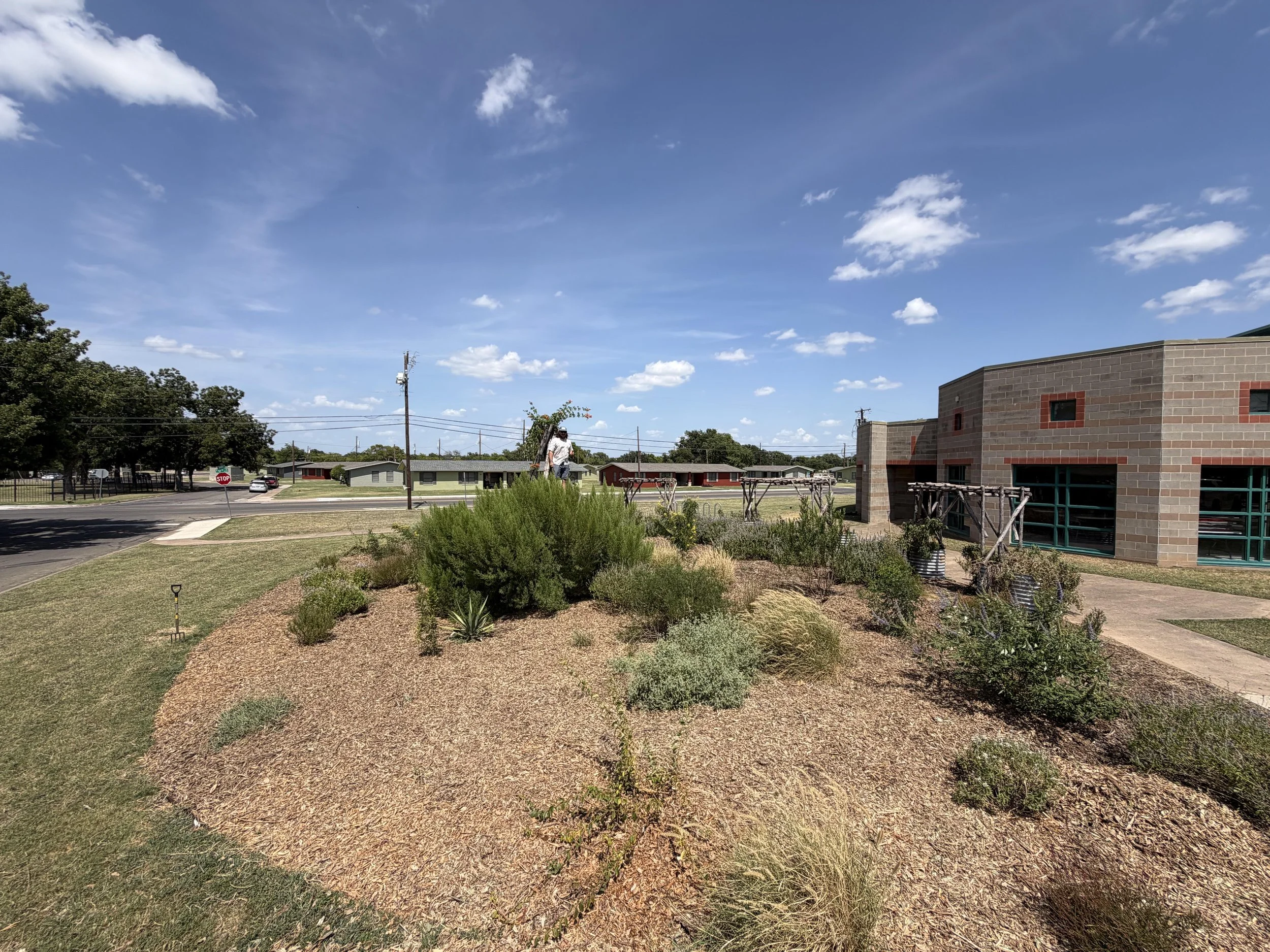A wide view of a suburban neighborhood with a blue sky and scattered clouds, a tree-lined street with houses, and a landscaped area with shrubs and plants in the foreground.