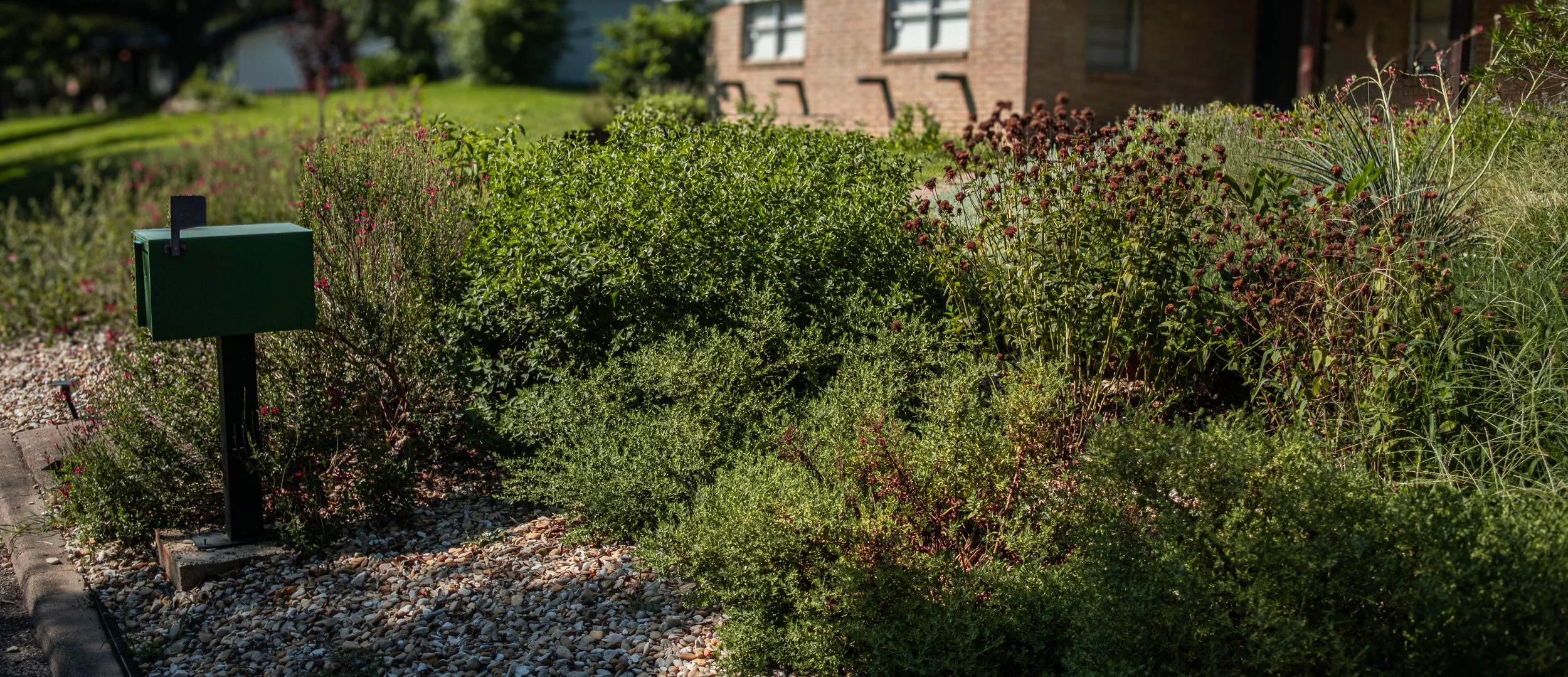 A lush garden with various green shrubs and colorful flowers in front of a brick building, with a green mailbox on a black post near the edge of the garden.