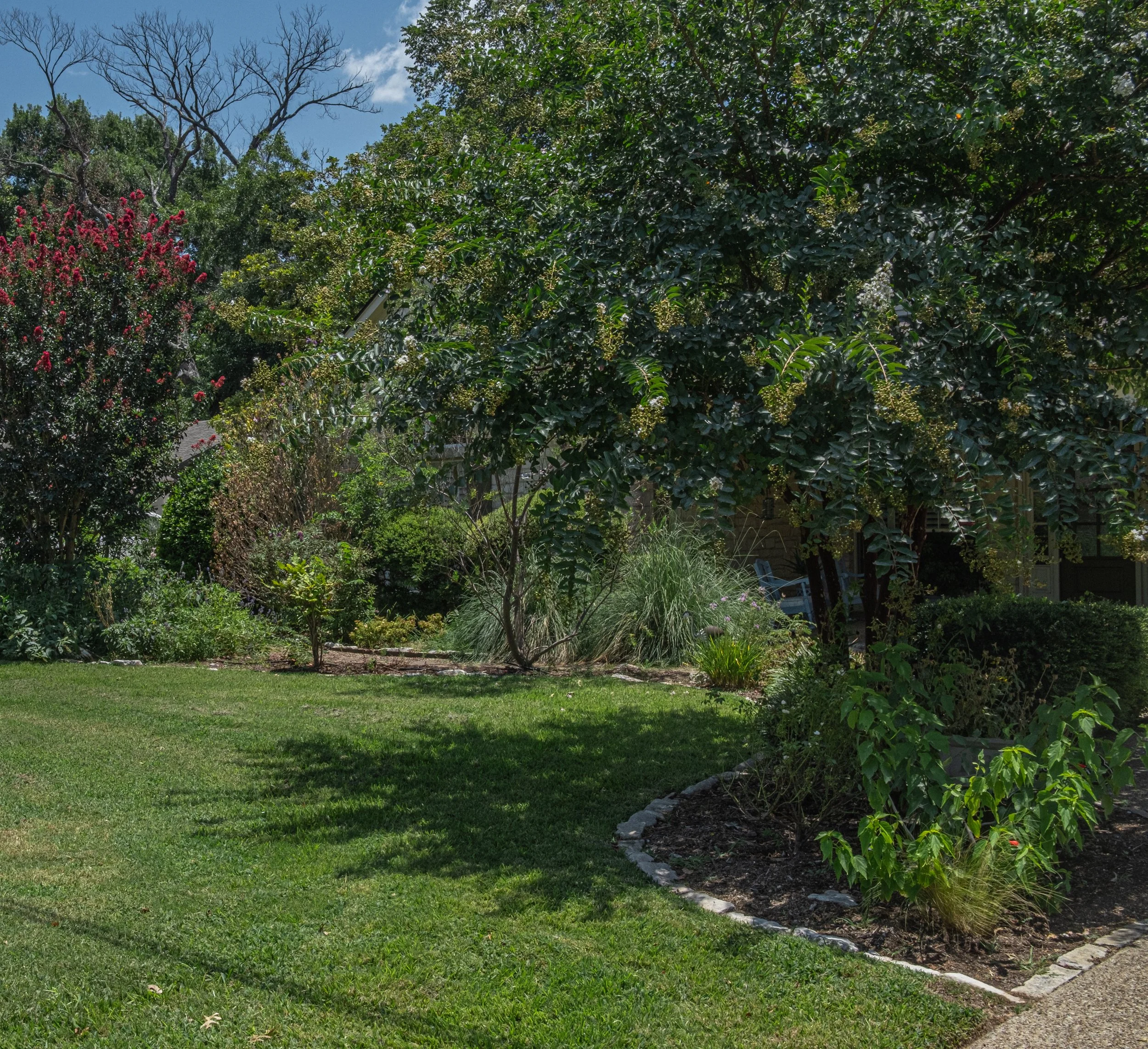 A lush green backyard garden with a well-maintained lawn, various trees, and shrubs, some flowering, under a mostly clear blue sky with a few clouds.