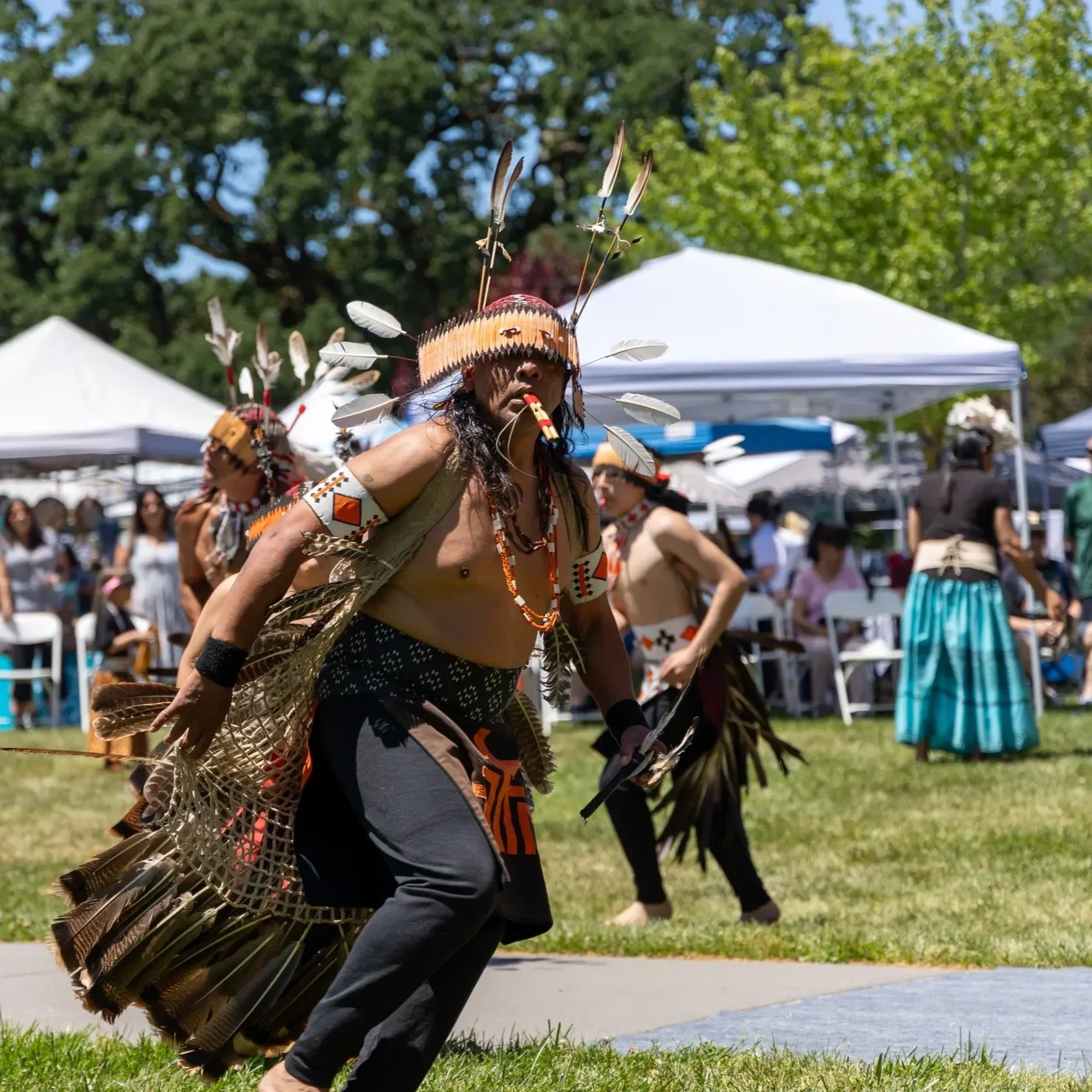 dancer-in-regalia.webp