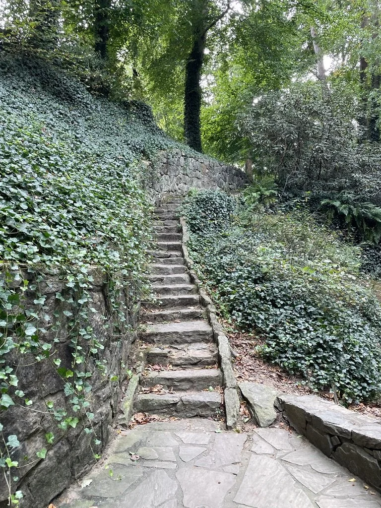 Stone staircase ascending through lush green wooded area with ivy-covered walls and dense foliage.