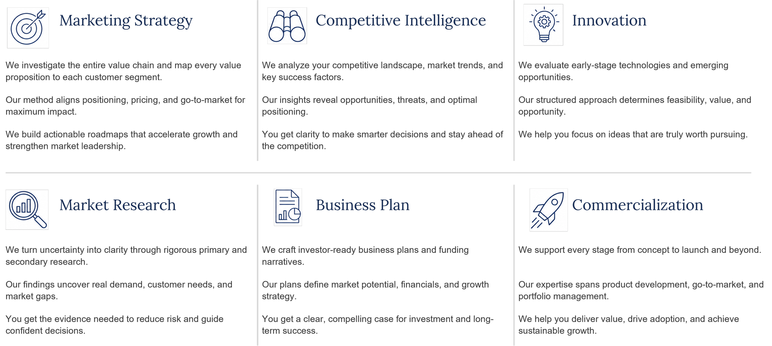 Infographic of PIOVIN's consulting services: marketing strategy, competitive intelligence, innovation, market research, business plan, and commercialization.