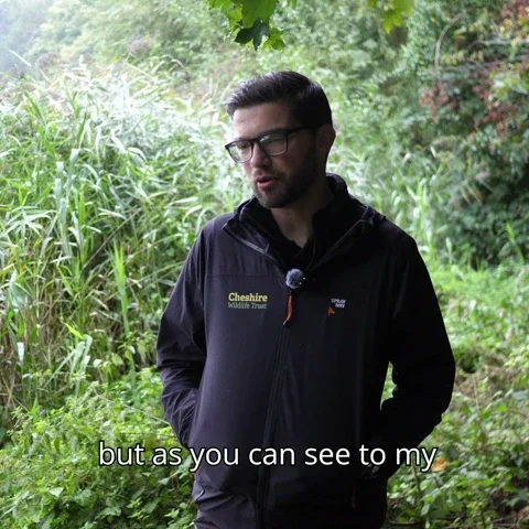 UKSPF-AccessingOwleyWood-ezgif.com-video-to-webp-converter.webp
