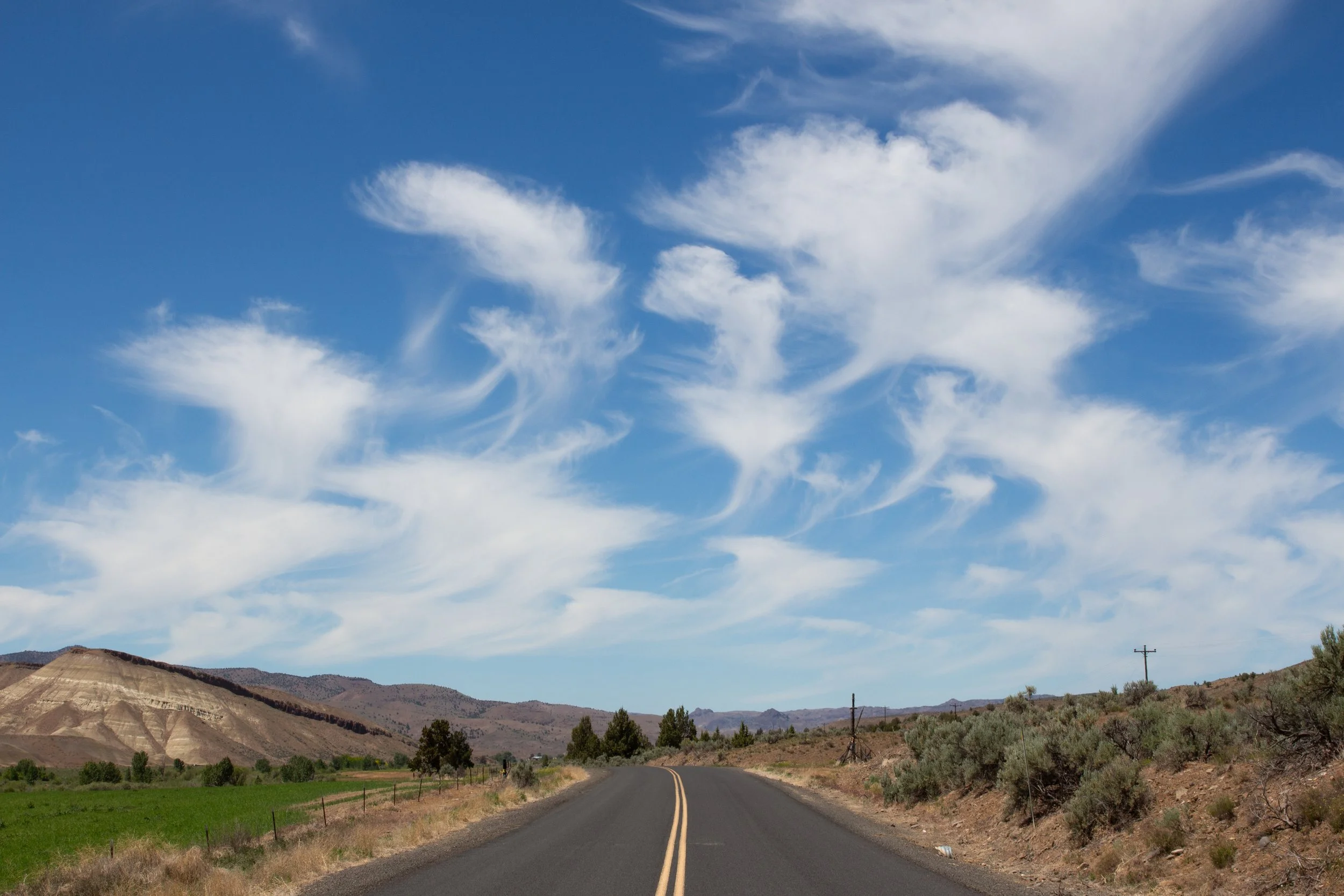 Jellyfish clouds over desert highway