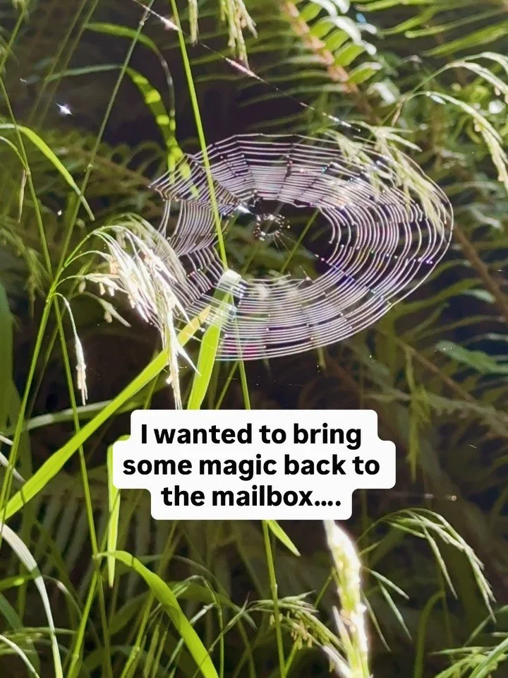 I&rsquo;m loving this mail club so much, y&rsquo;all, and I mainly want to encourage us all to try new things and have more fun. 🦦 Maybe some analog fun and slower moments of deep connection. 

I would have been happy with one subscriber but now tha