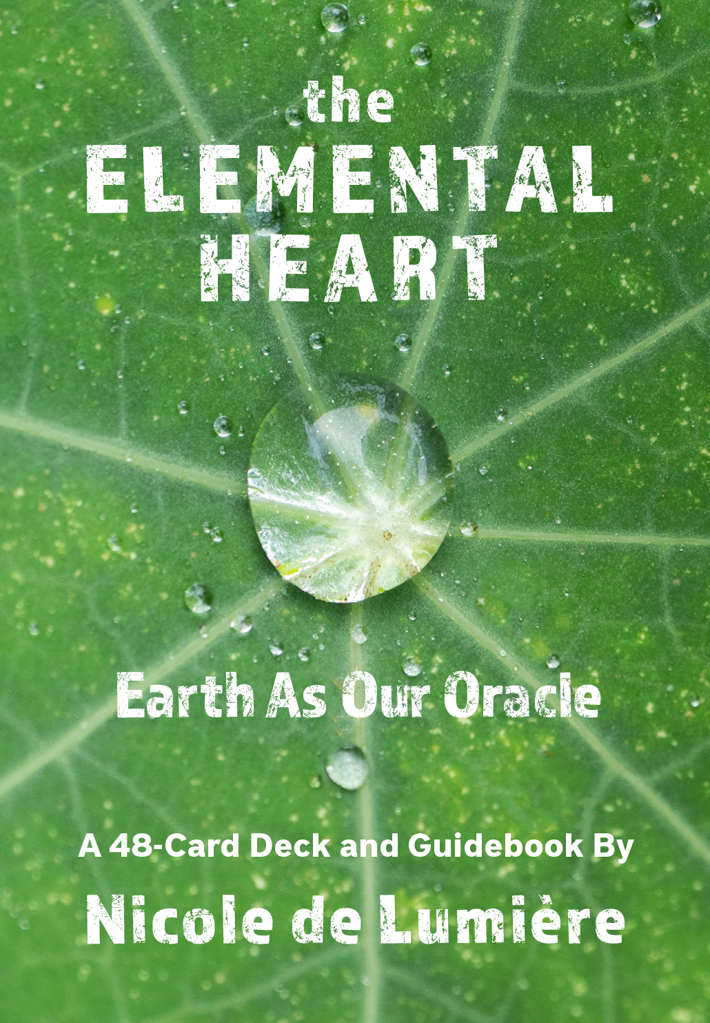 Front Cover.png