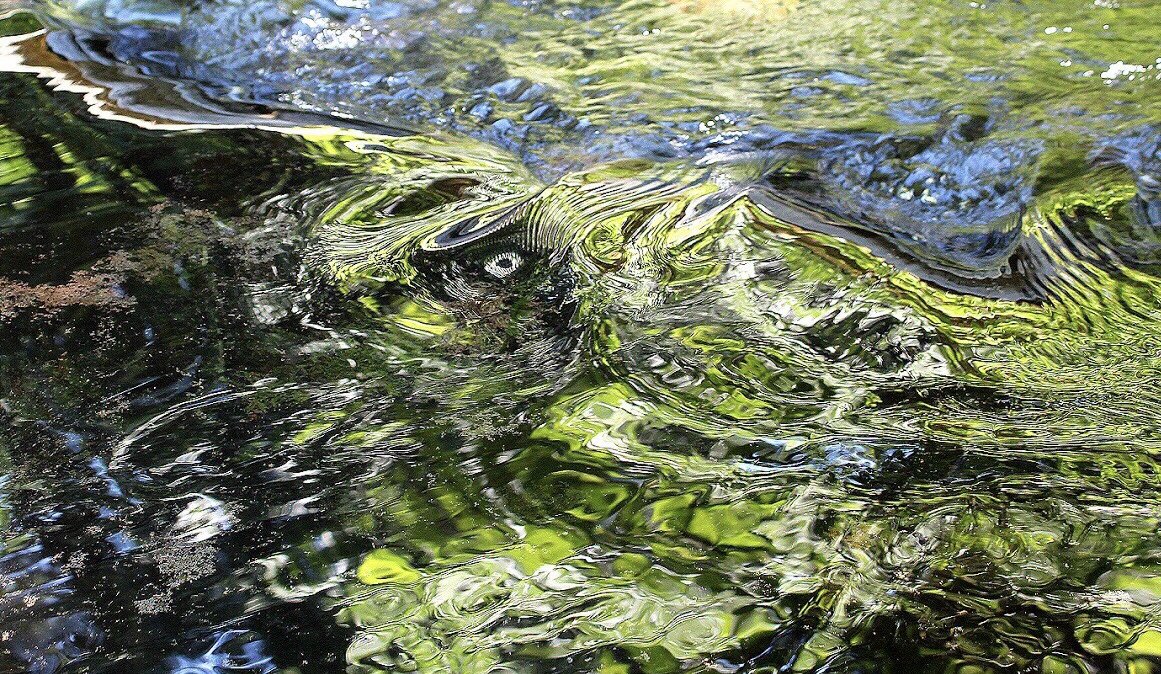 Swirling emerald water