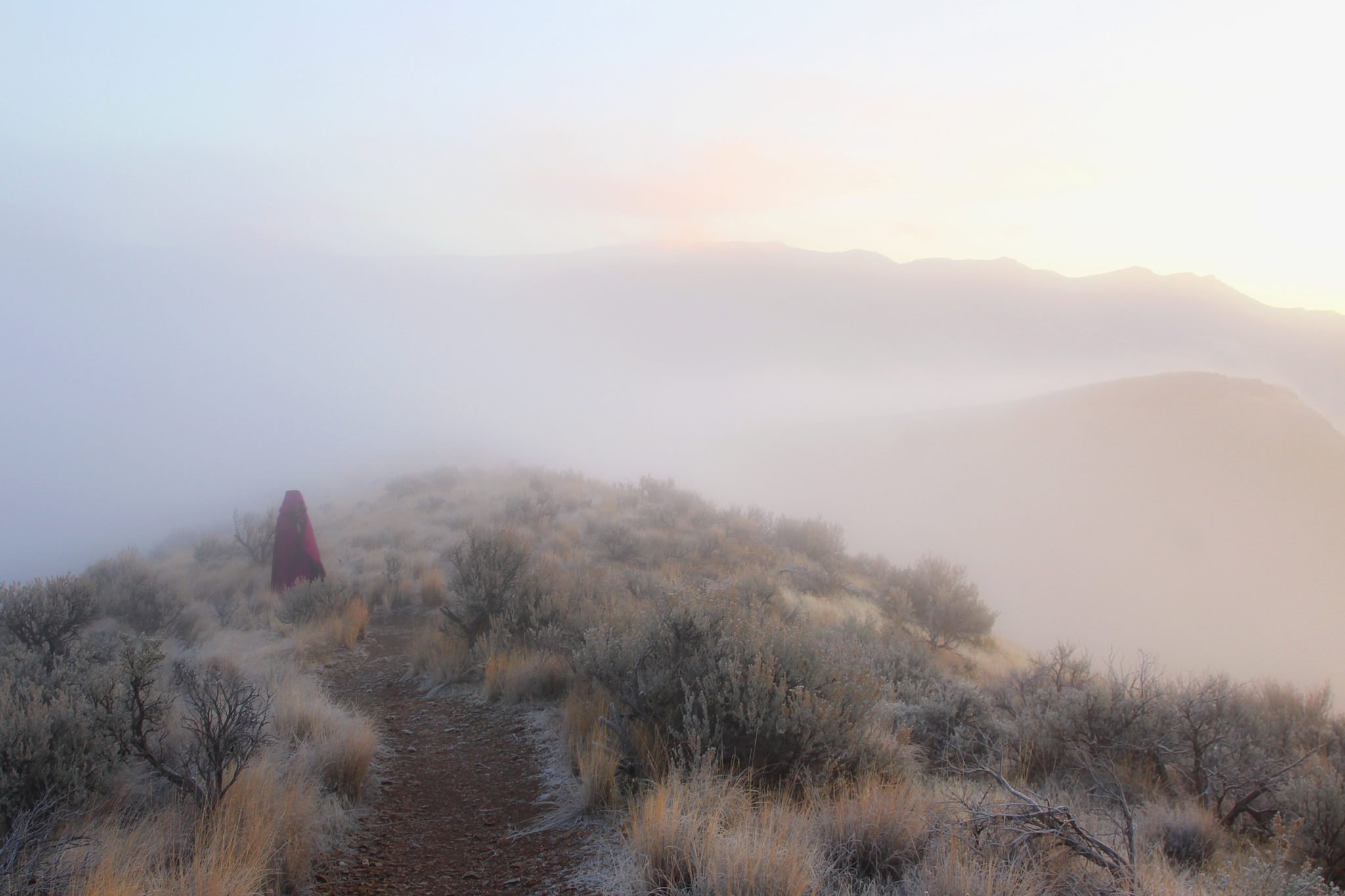 A person in a red jacket walking along a foggy mountain trail surrounded by dry bushes and shrubs.