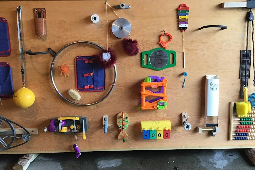 Activity board