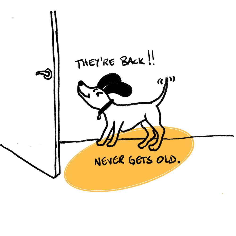 A picture of a dog excited to see their family is back - the caption reads: "They're back!!  Never gets old."