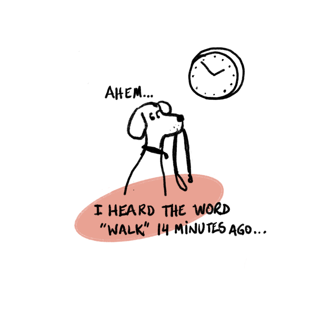 Image of a dog with a leash in its mouth and the caption reads" Ahem, I heard the word 'walk' 14 minutes ago."  Clock on the wall.