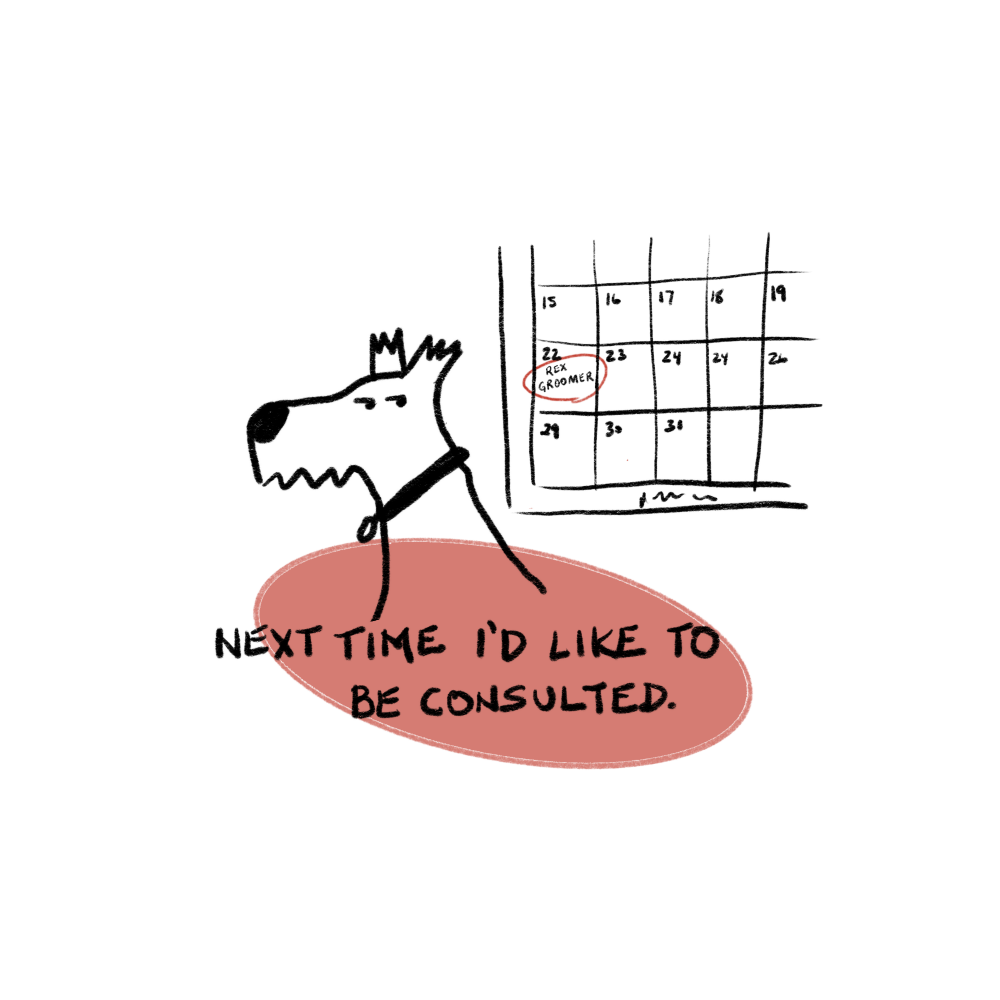 The drawing of a dog looking askance at a calendar and the caption reads: "Next time i'd like to be consulted" the calendar has "Rex Groom" marked as an appointment on it.