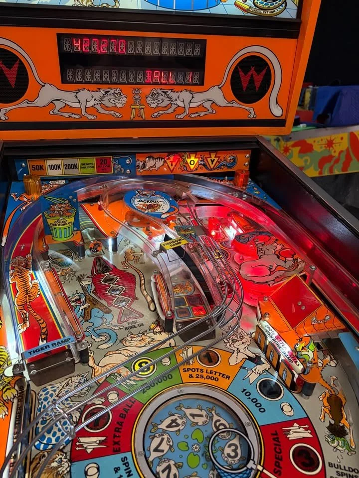 748016874_2072250010334415_284256555389216675_n.jpg