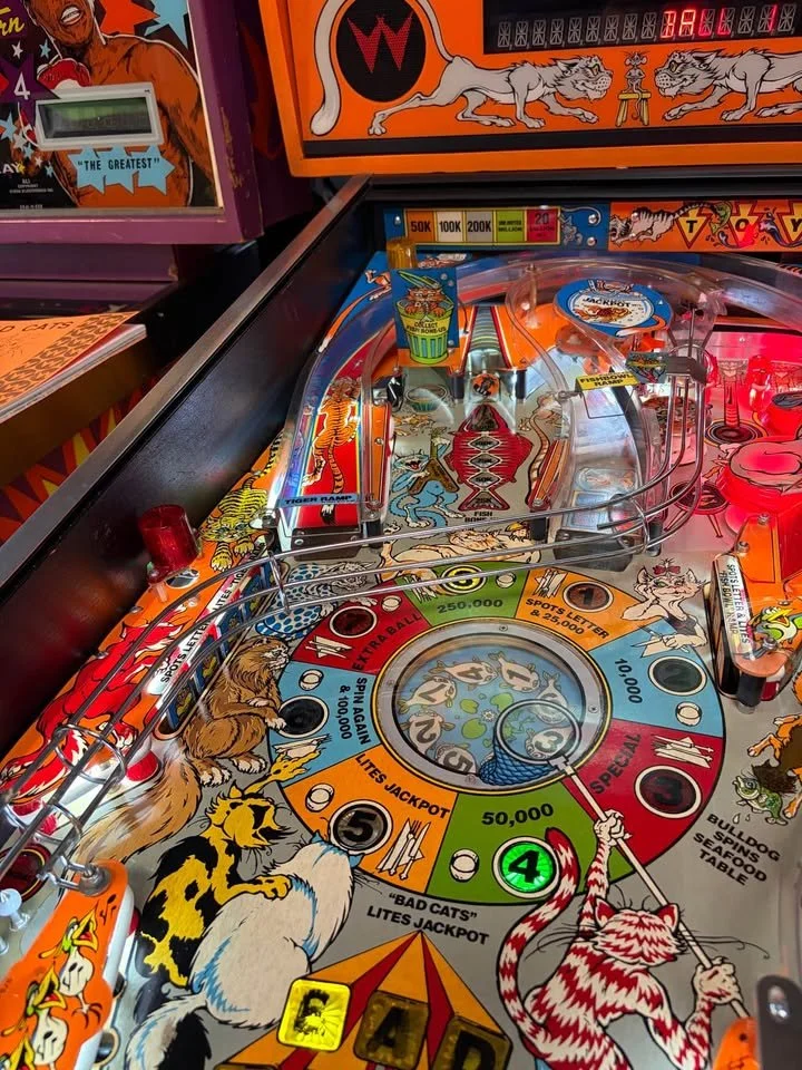 747809568_2319823798762732_562223349610928060_n.jpg