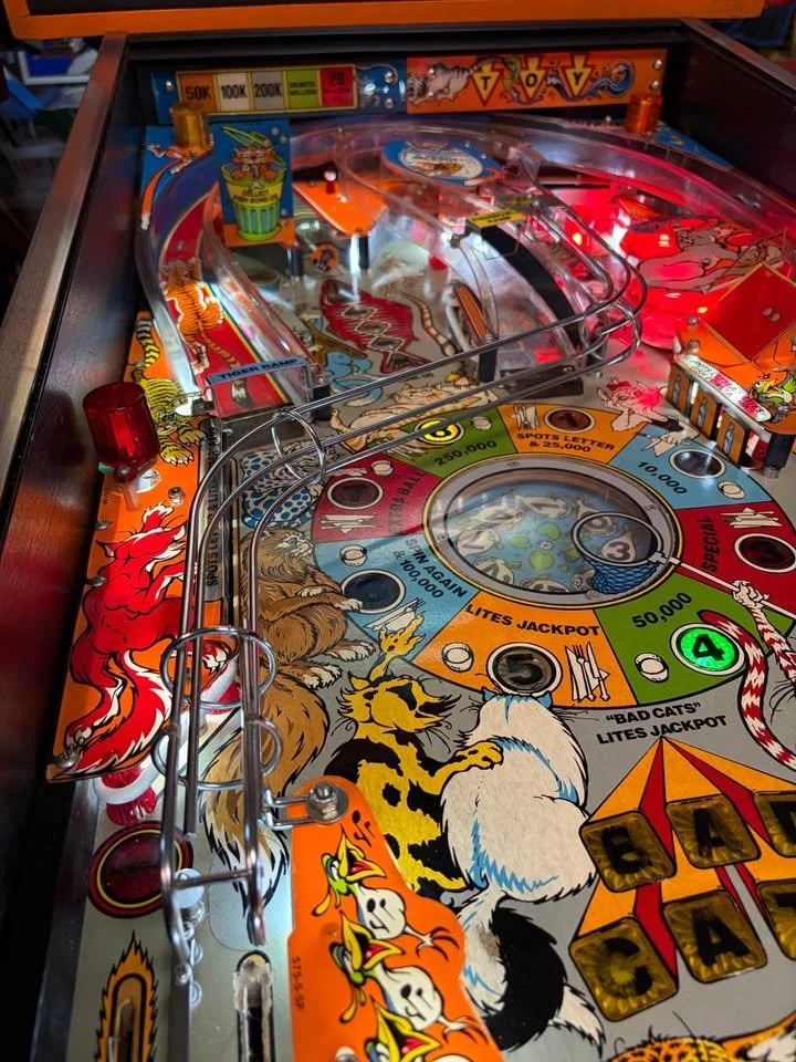 747771576_1916198202382211_741275170180857309_n.jpg