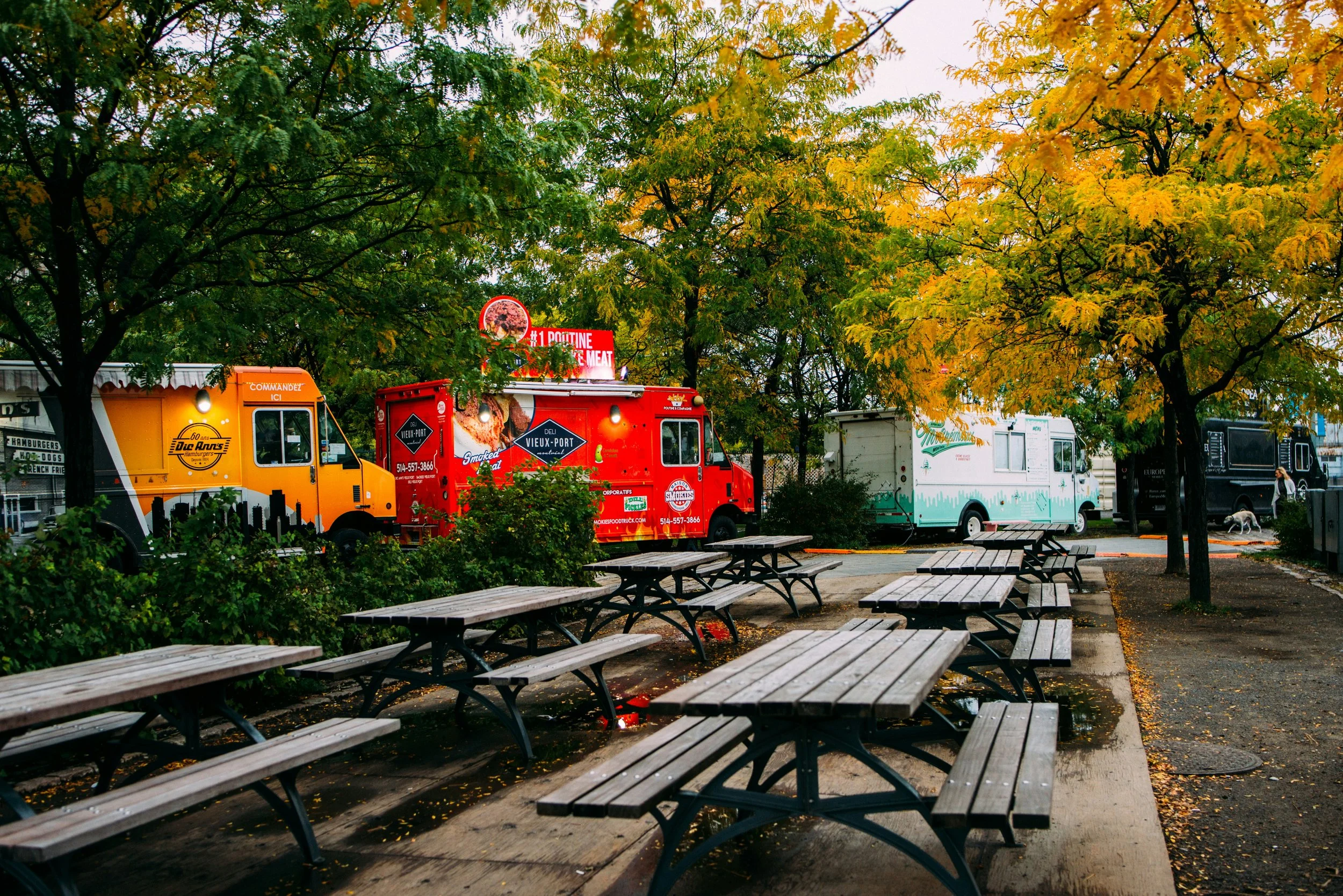 Food trucks parked under trees with falling leaves, empty picnic tables in foreground on overcast day.