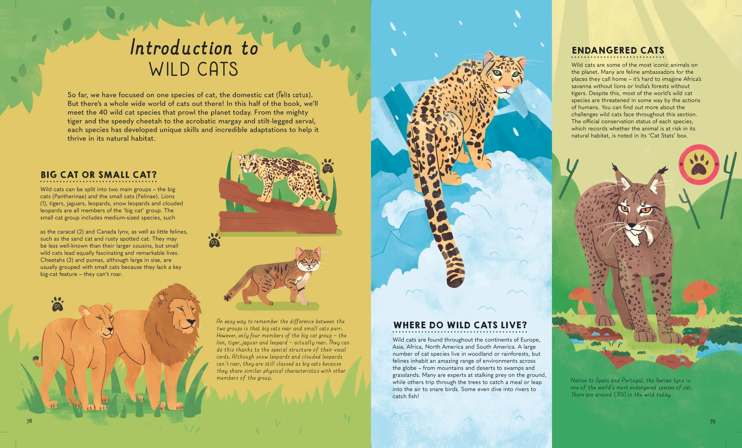 AtlasOfCats_78-79 copy.jpg