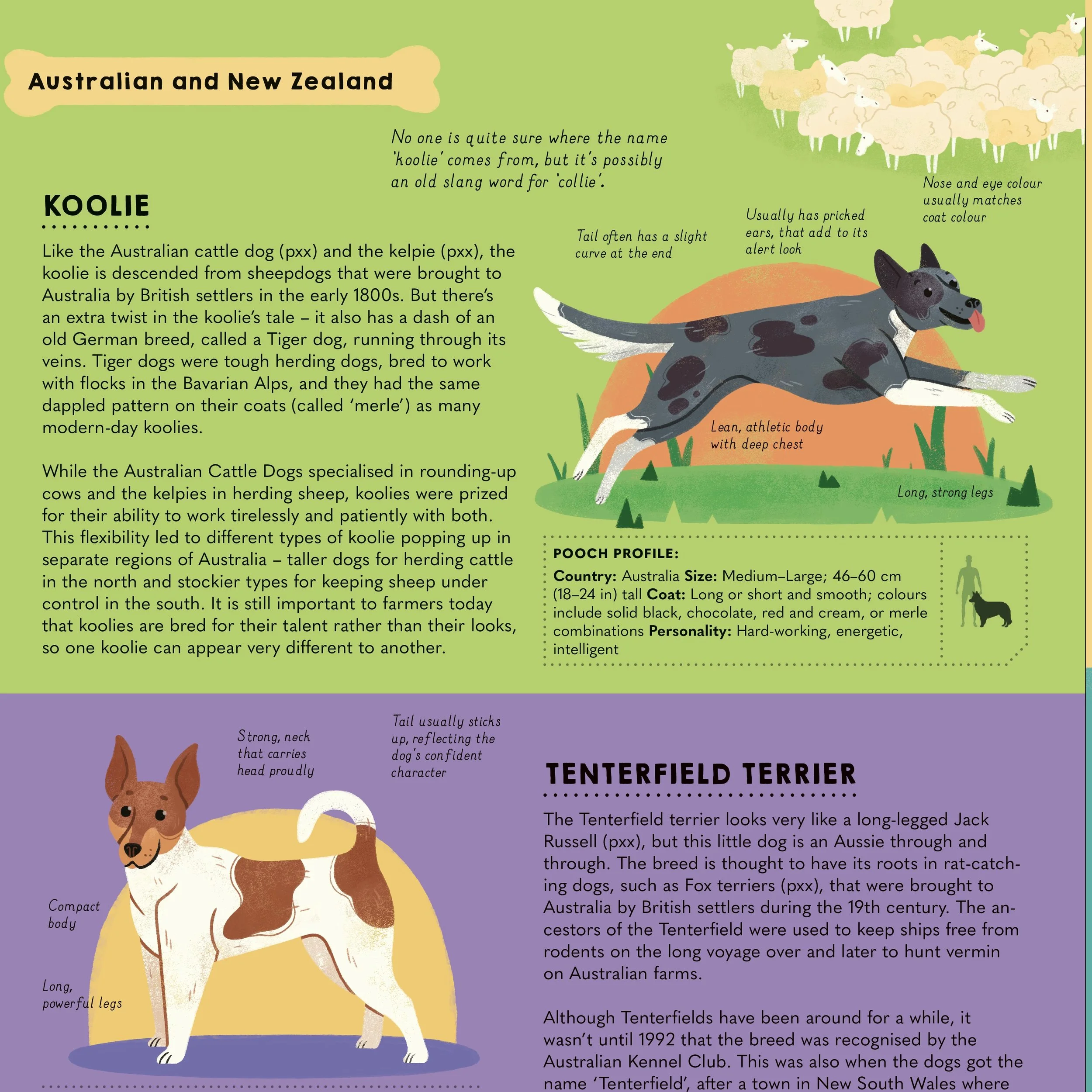 B5_Australia_NZ_species1 2.jpg