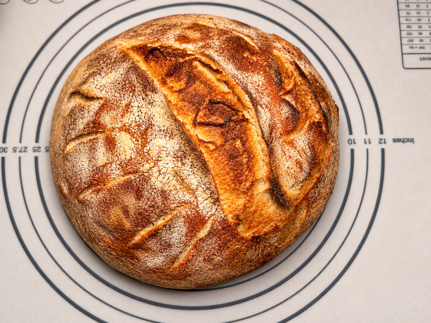 Regular Smegular - Sourdough Loaf