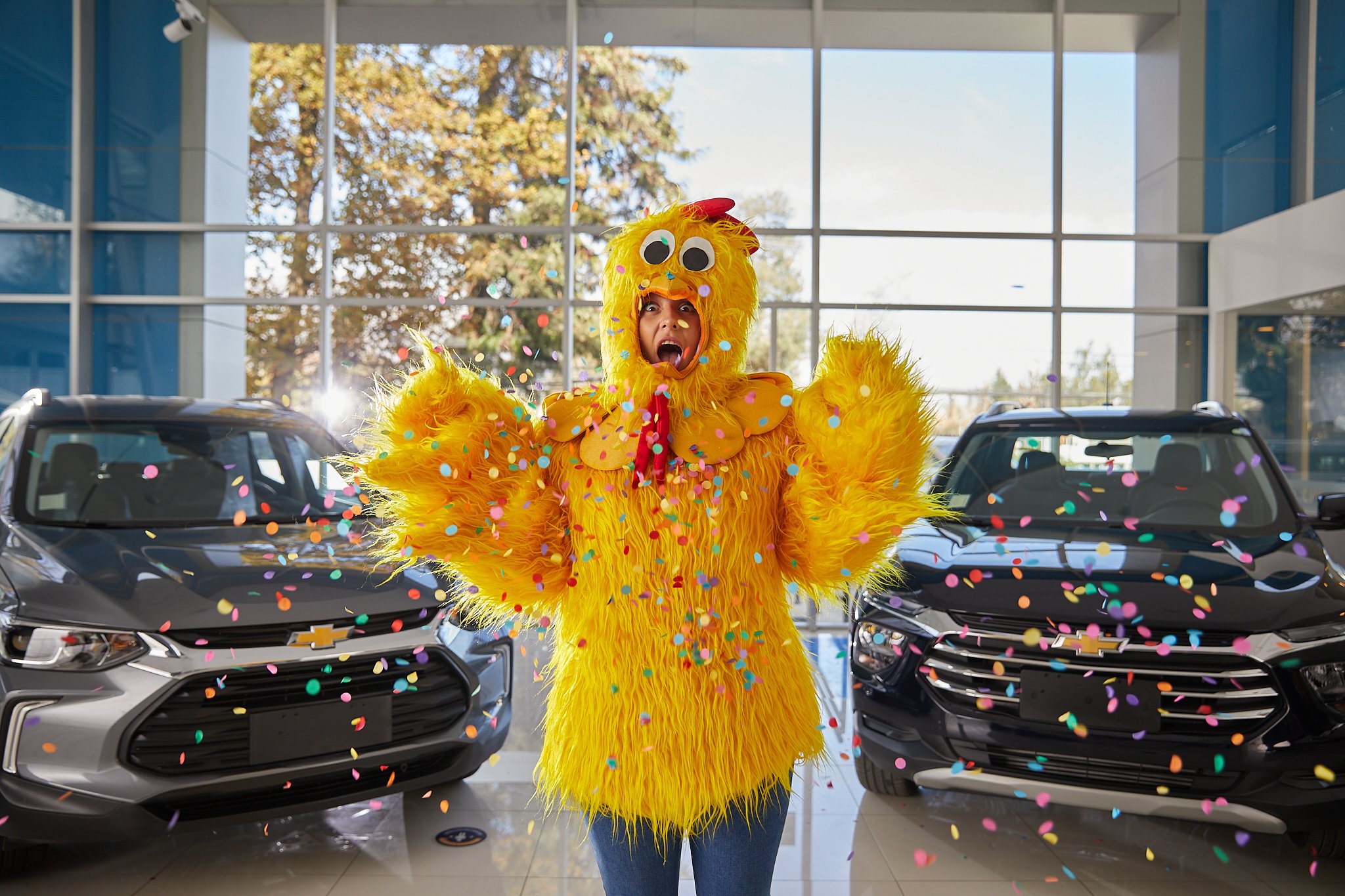 Persona con disfraz de gallina amarilla en un concesionario de autos, celebrando con confeti.