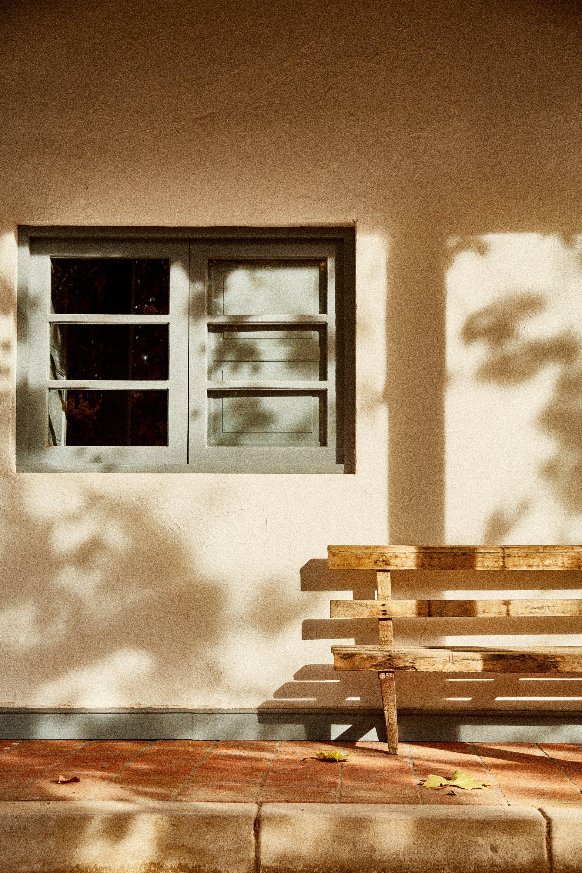 Ventana con marco gris y varias divisiones, sombra de árbol en la pared, banco de madera y hojas secas en el suelo de ladrillos.