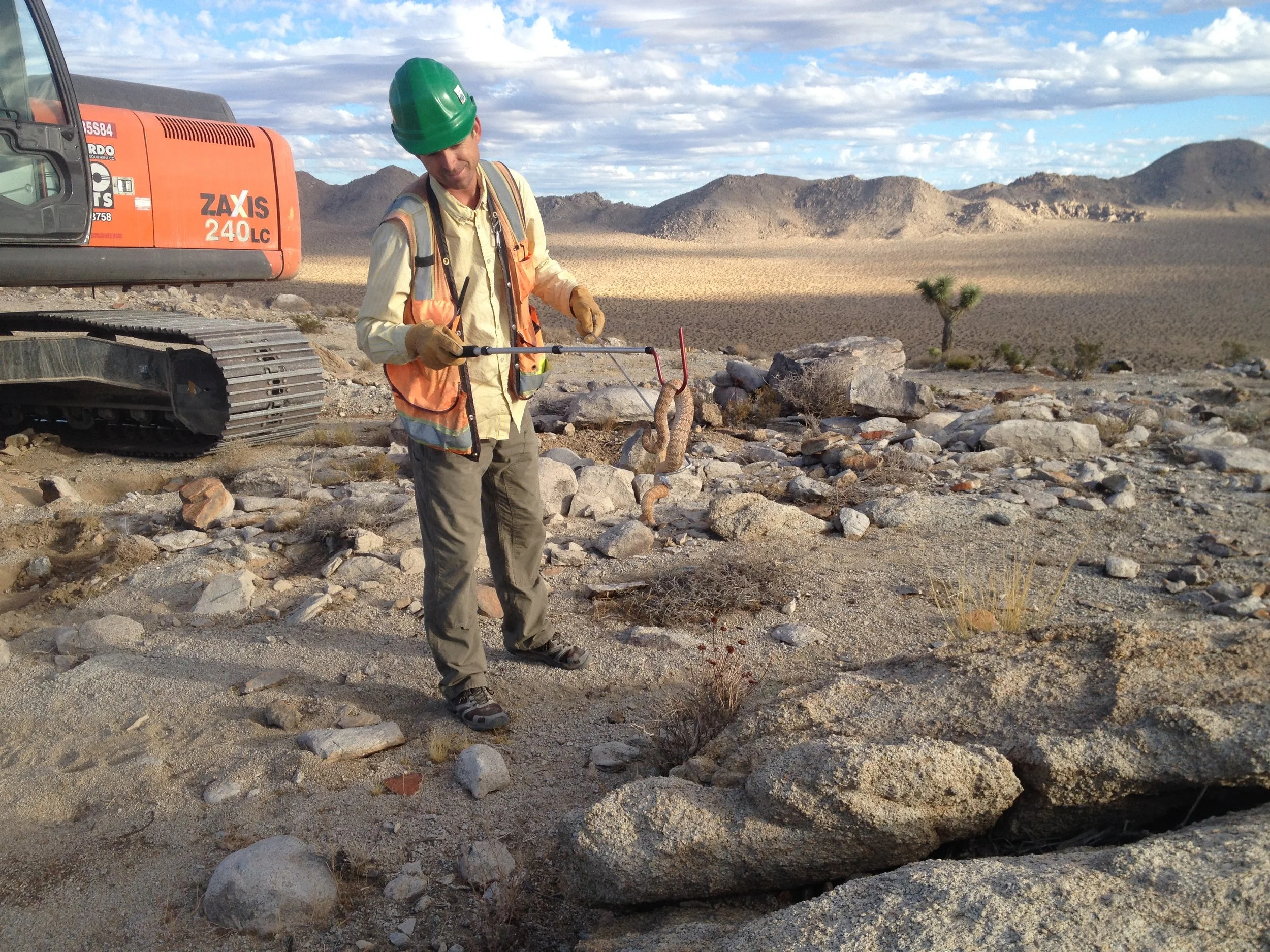 A construction worker wearing a green safety helmet, yellow shirt, and orange safety vest standing on rocky desert terrain with a snake wrapped around a tool in his hand. An orange excavator is visible on the left side, and distant mountains can be seen in the background under a partly cloudy sky.