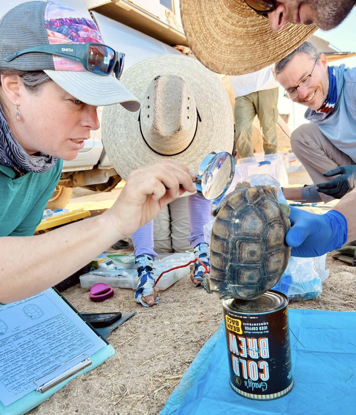 Desert Breeze Solar Project