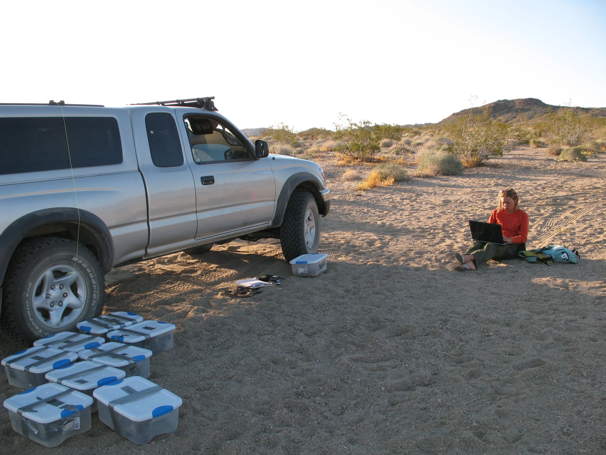 wilder-ecological-consulting-case-studies-fort-irwin-ntc-southern-expansion-carousel-1.JPG