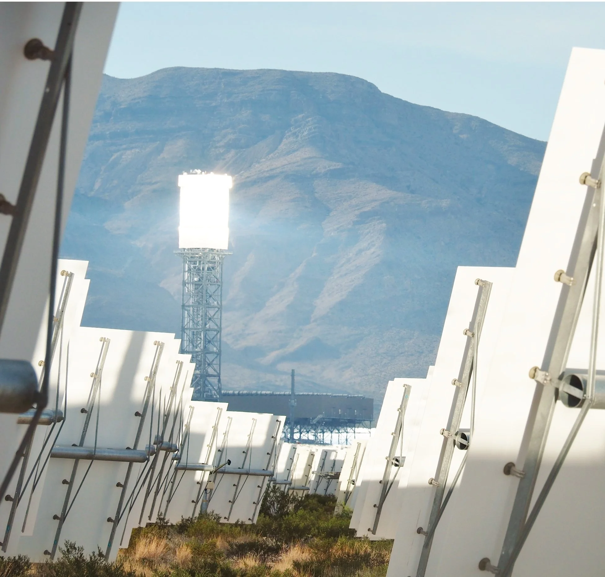 wilder-ecological-consulting-case-studies-ivanpah-solar-electric-generatng-station-carousel-1.jpg
