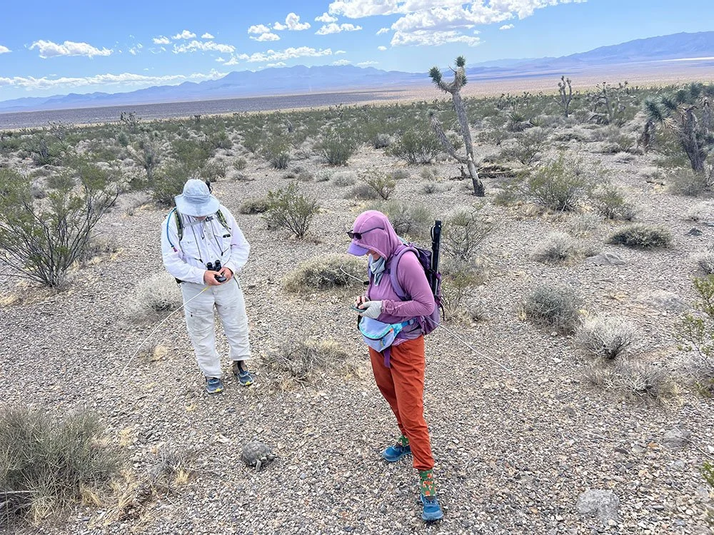 wilder-ecological-consulting-case-studies-usgs-usfws-clark-county-nv-desert-tortoise-monitoring-carousel-2.jpg
